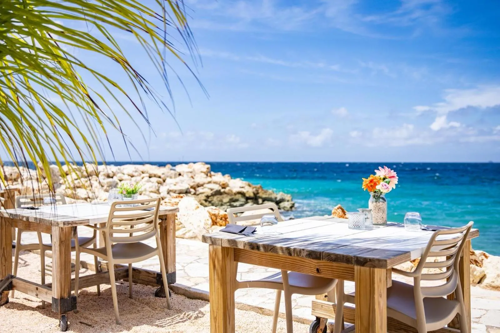 Restaurant/places to eat in BijBlauw