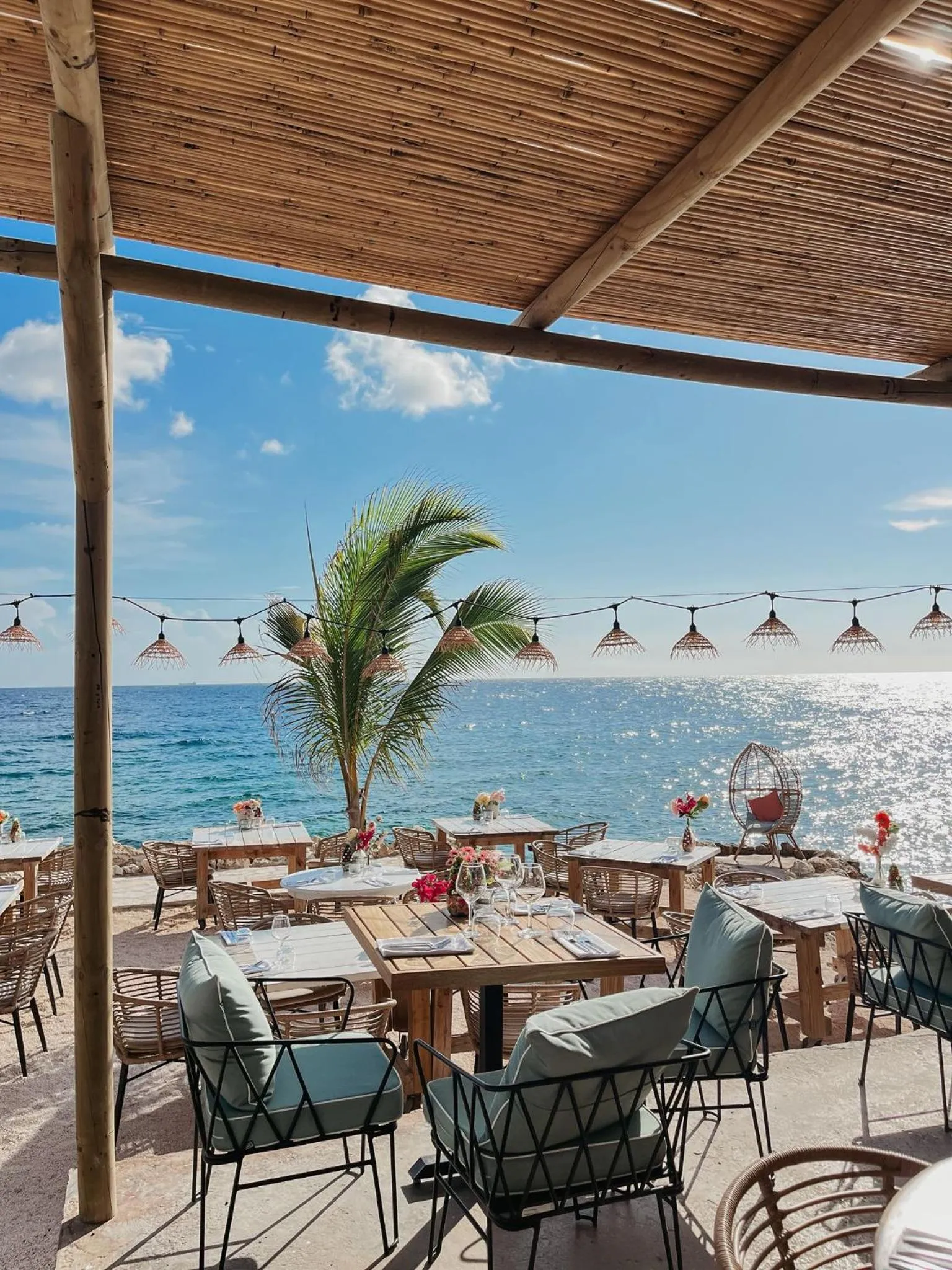 Restaurant/places to eat in BijBlauw