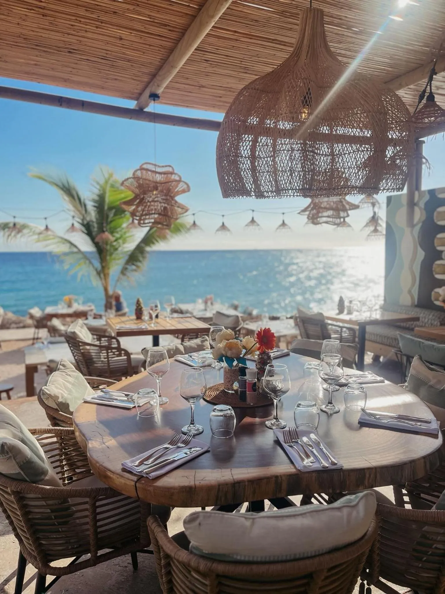 Restaurant/places to eat in BijBlauw