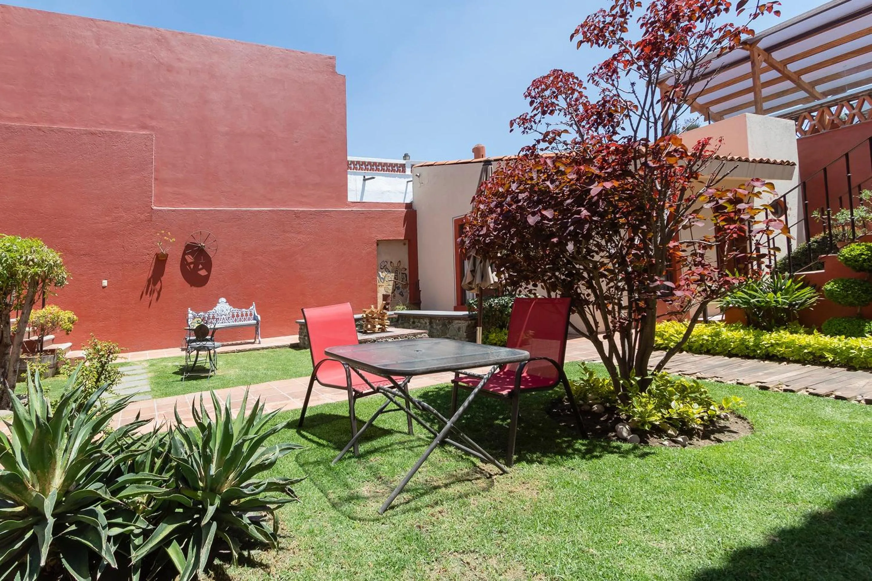 Garden in Collection O Cachito Mio