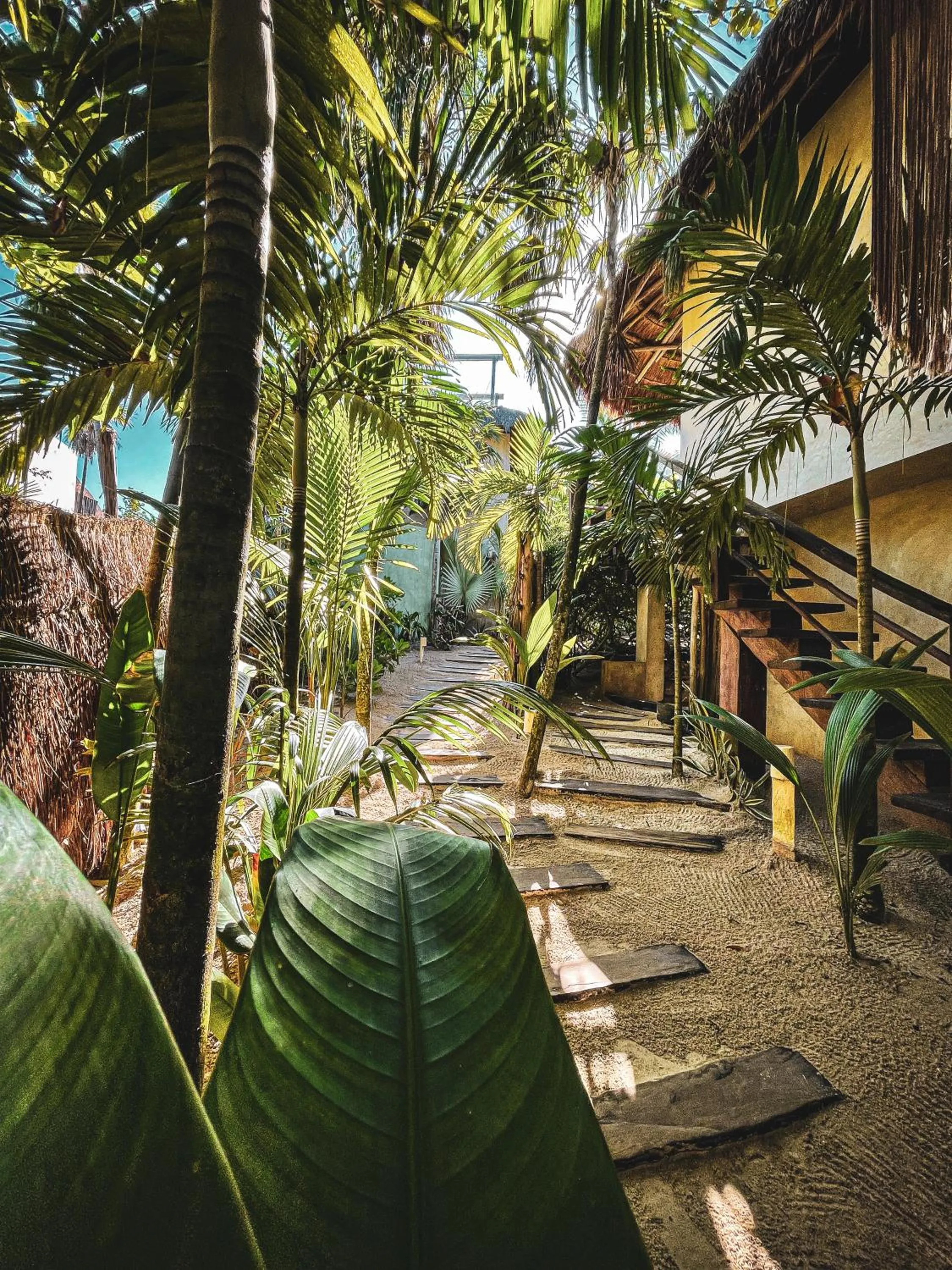Natural landscape in Orchid House Tulum Beach