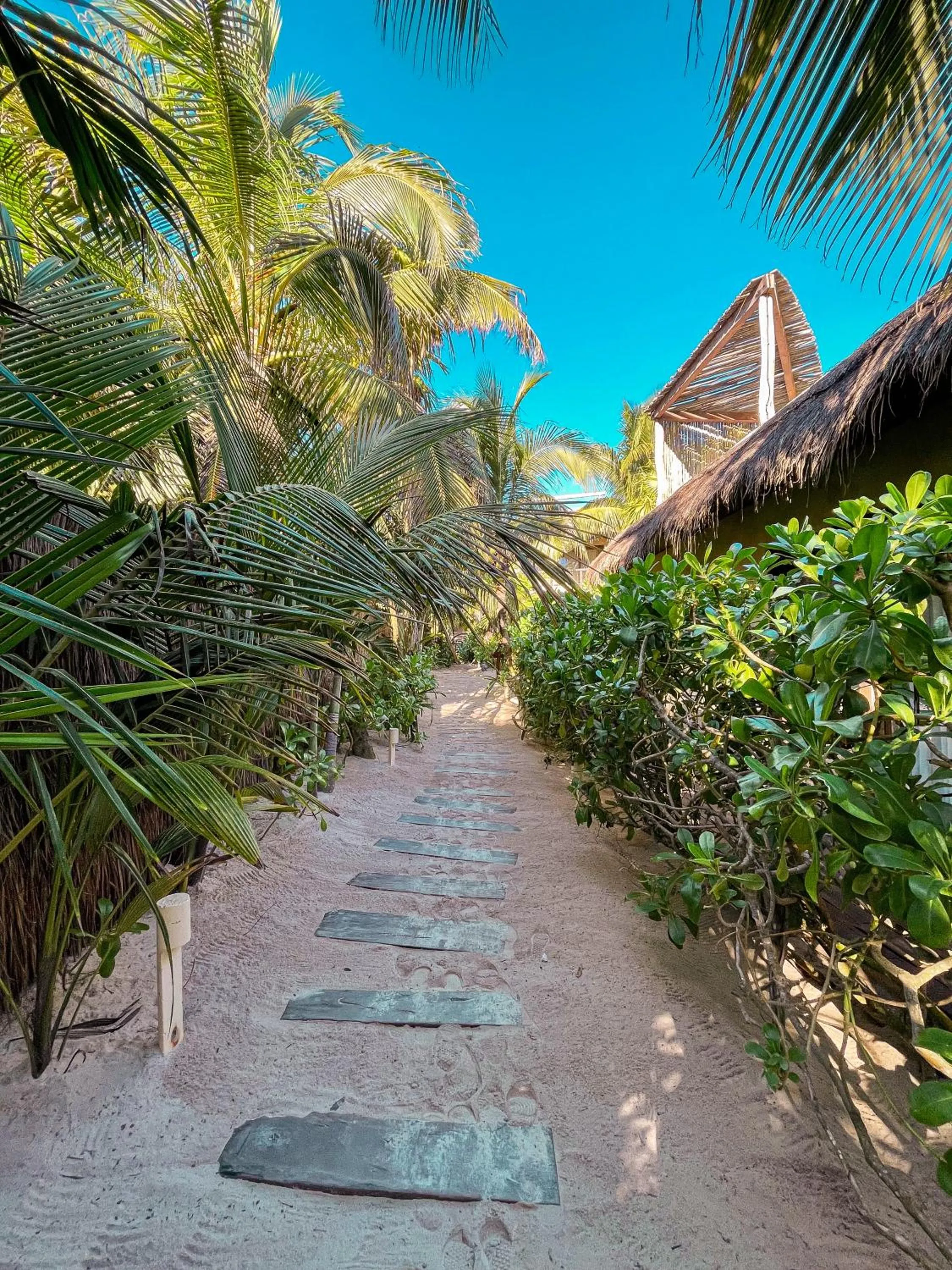 Natural landscape in Orchid House Tulum Beach