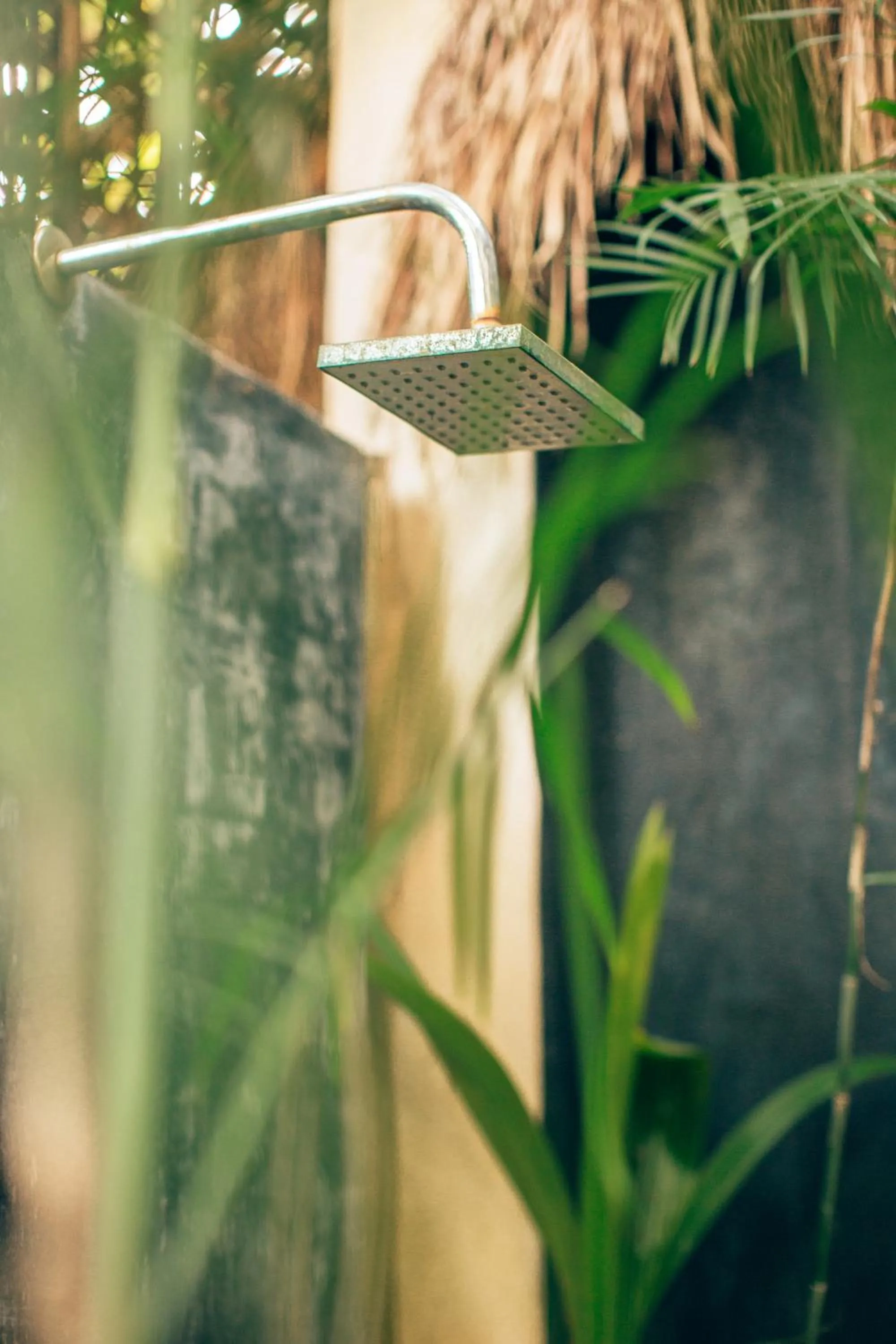 Shower in Orchid House Tulum Beach