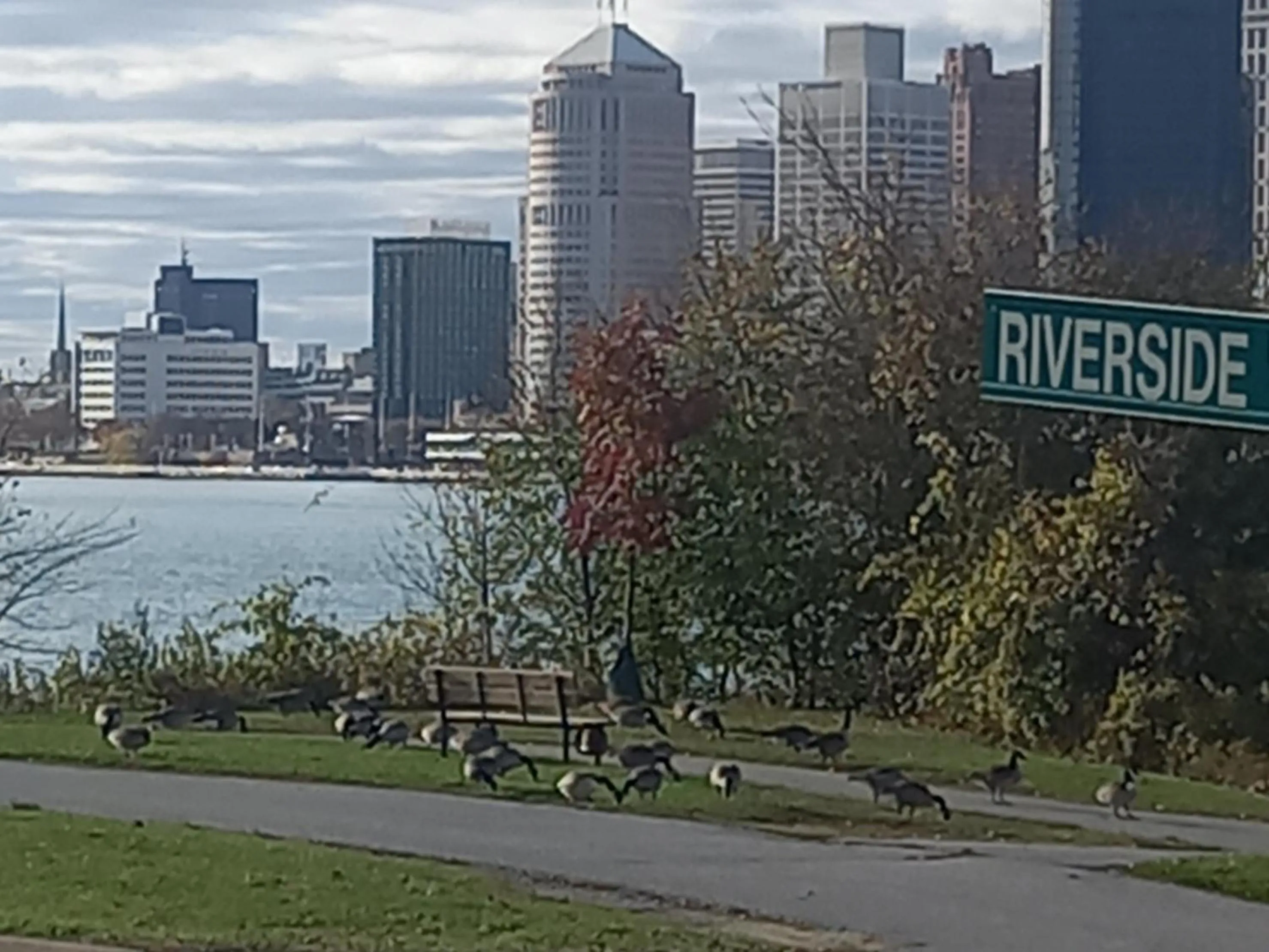 Nearby landmark in Waterfront Home Windsor ,On, Ca