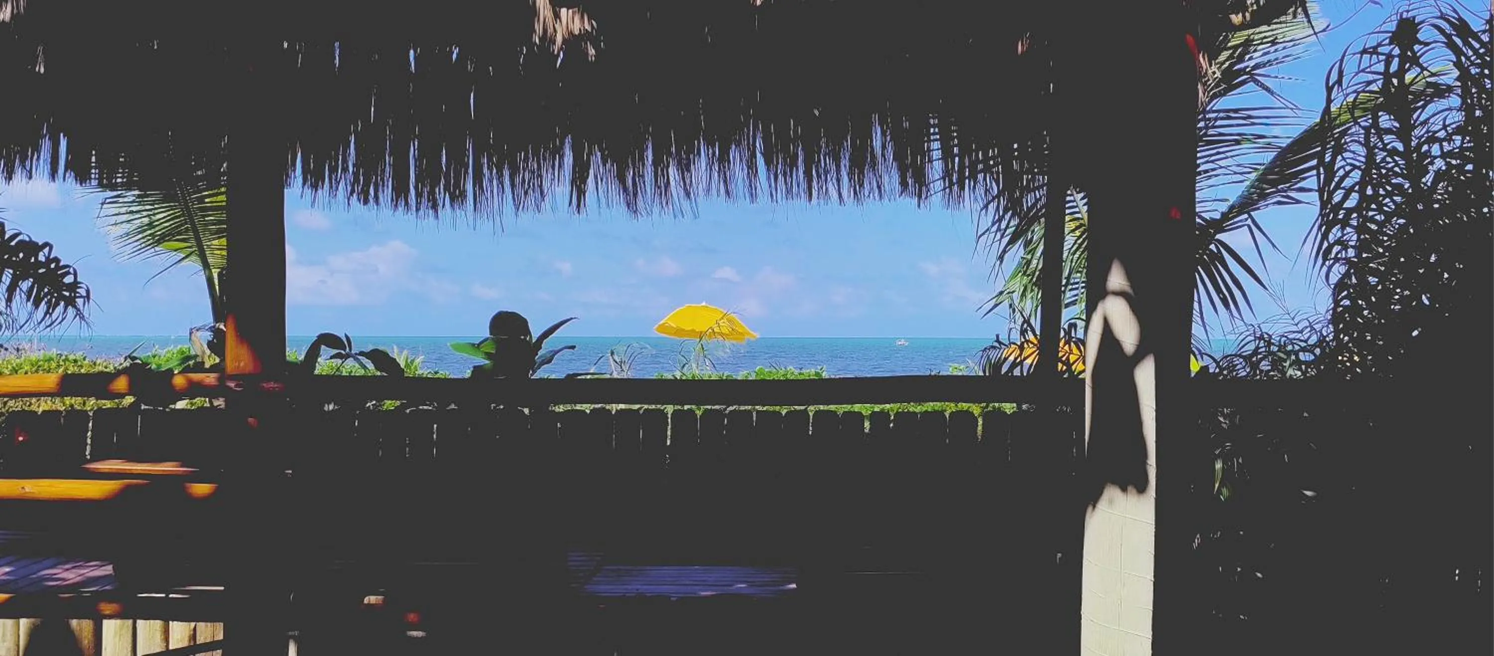 Restaurant/places to eat in Pousada Vila Araticum