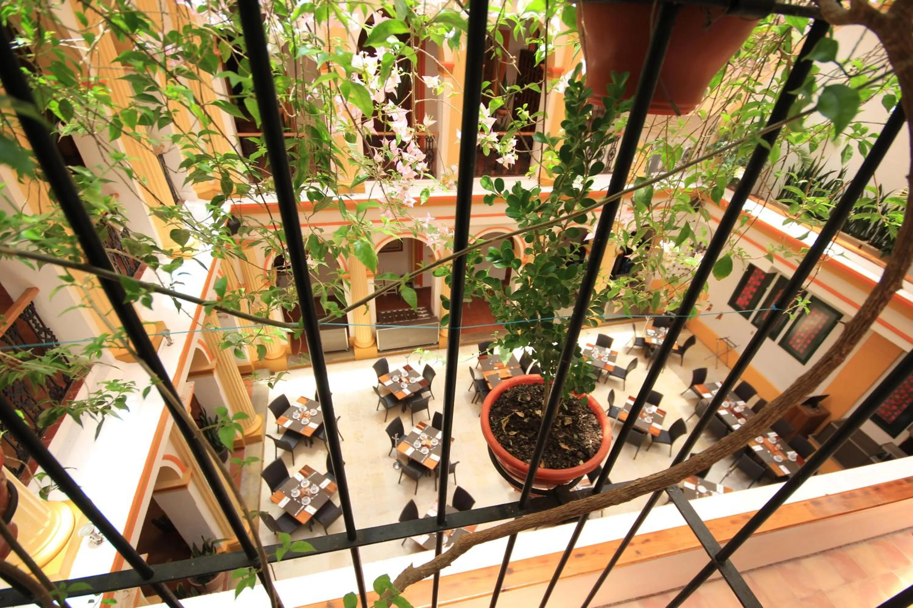 Restaurant/places to eat in Hotel Ciudad Real Centro Historico