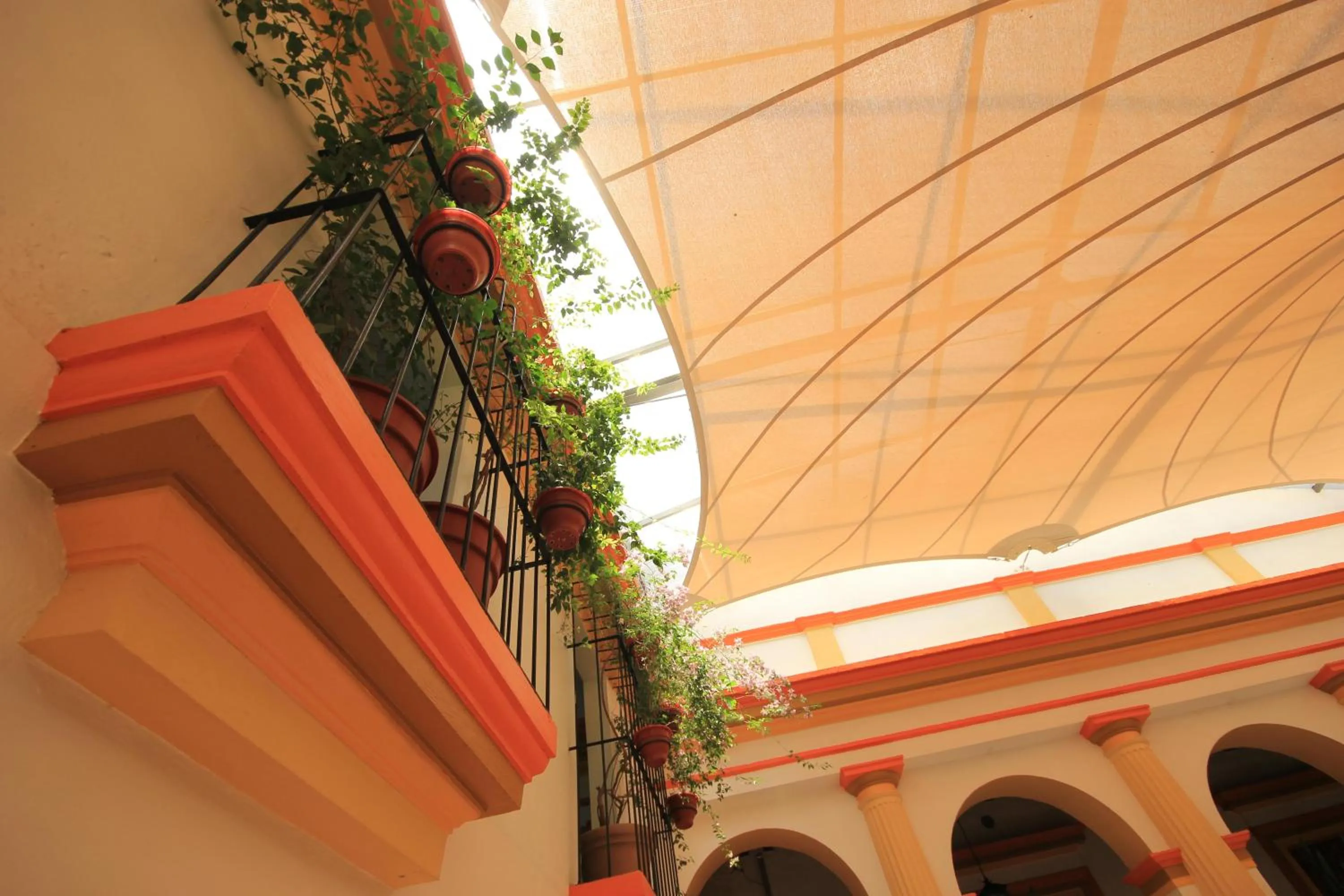 Restaurant/places to eat in Hotel Ciudad Real Centro Historico