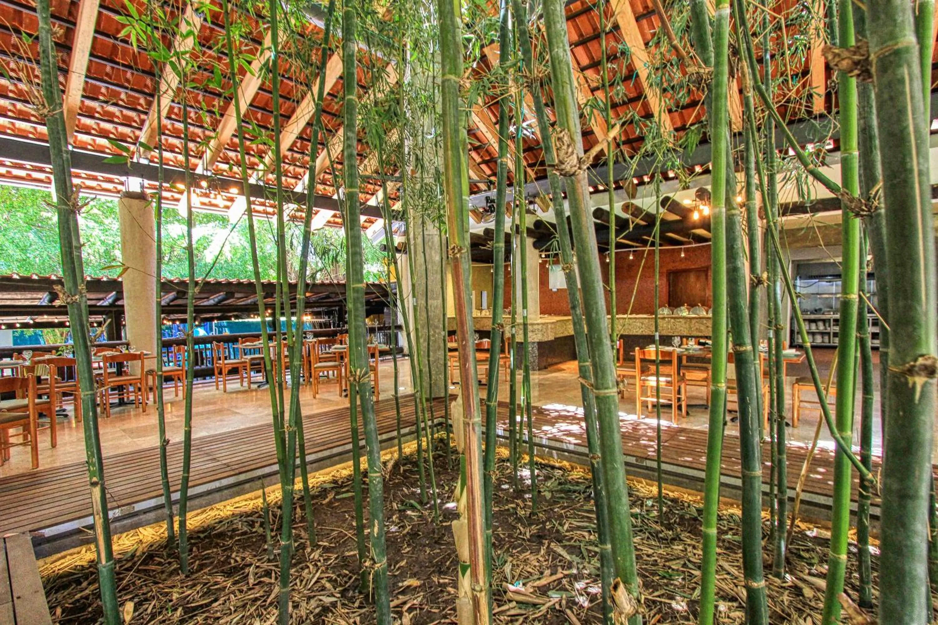 Restaurant/places to eat in Hotel Ciudad Real Palenque