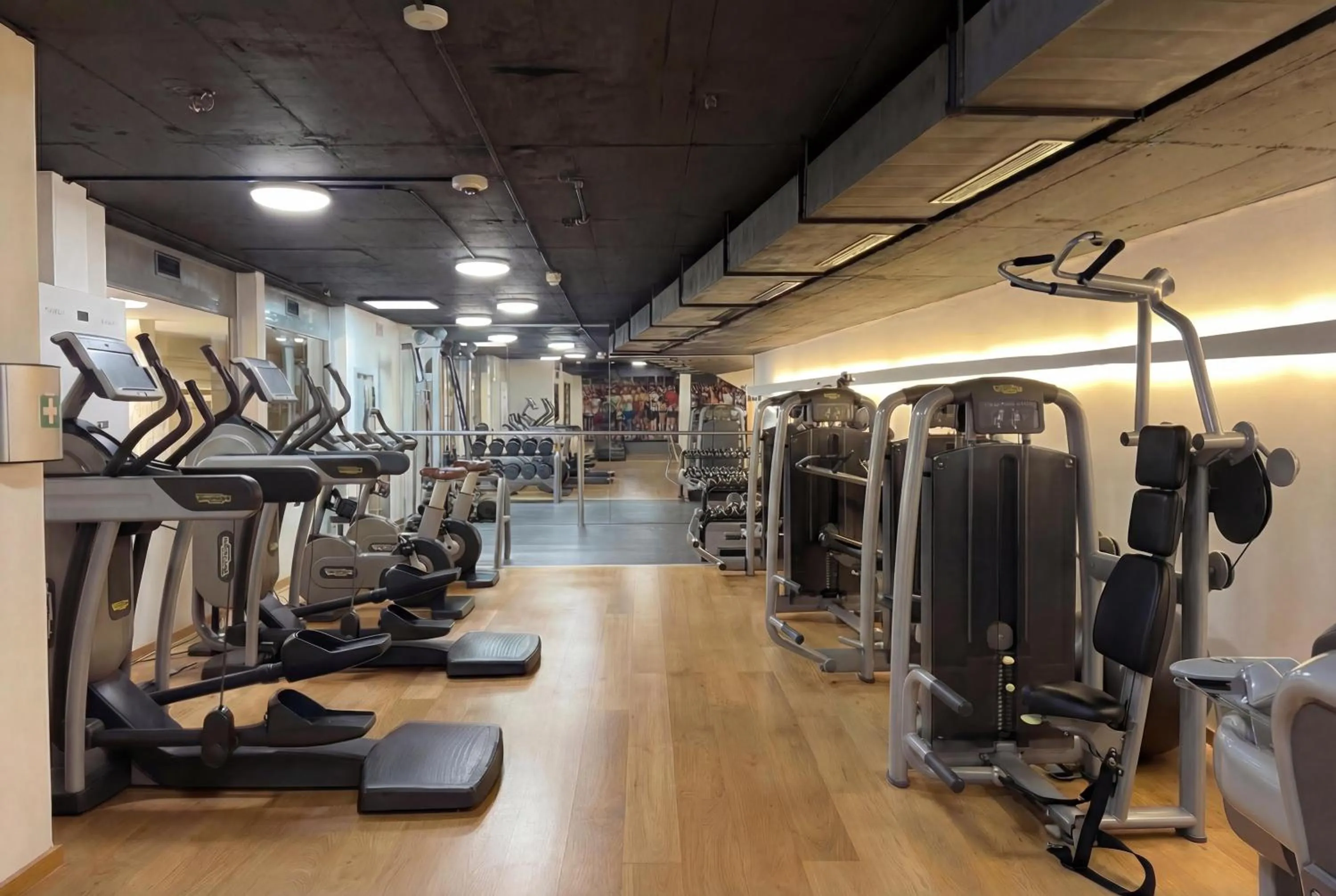 Fitness centre/facilities in Radisson Blu, Basel