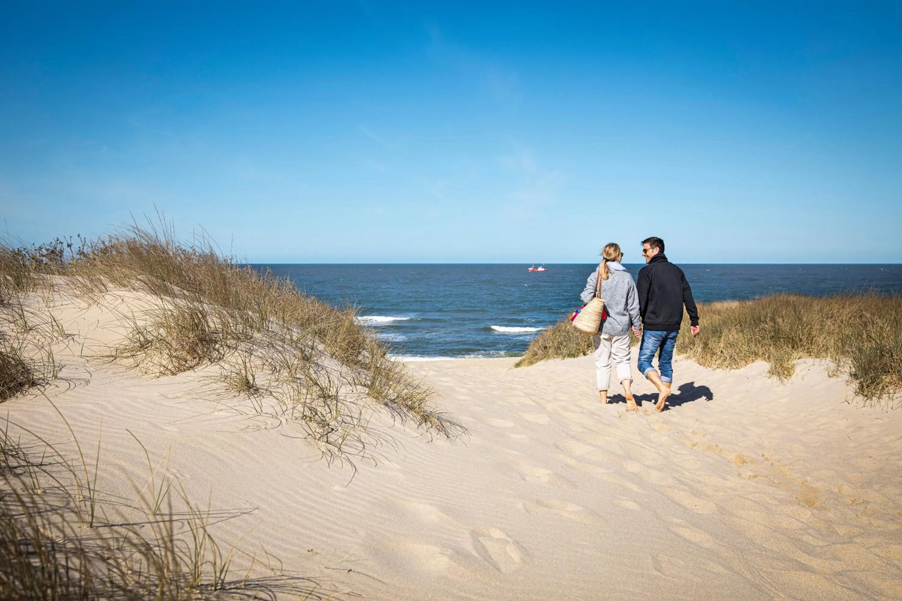 Beach in TUI BLUE Sylt