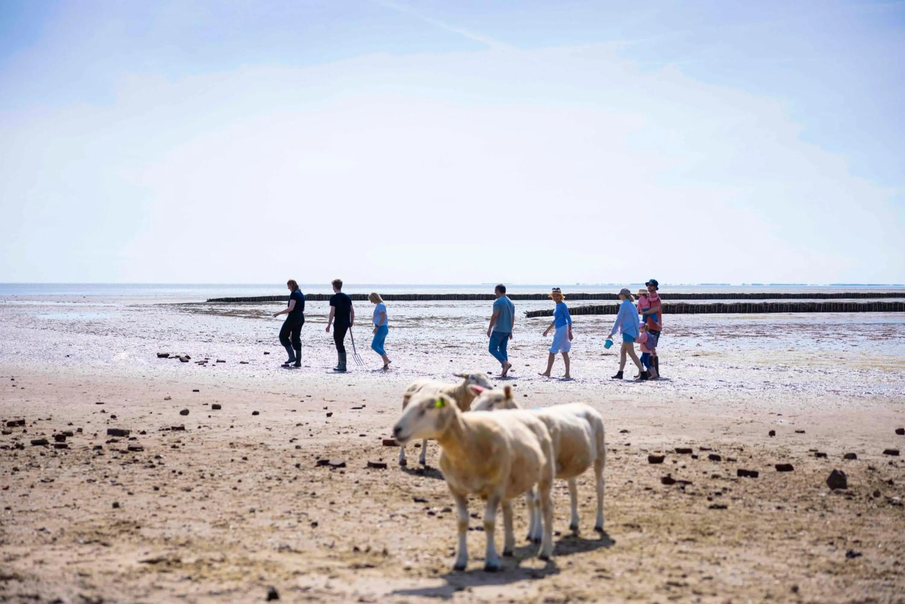 Natural landscape in TUI BLUE Sylt