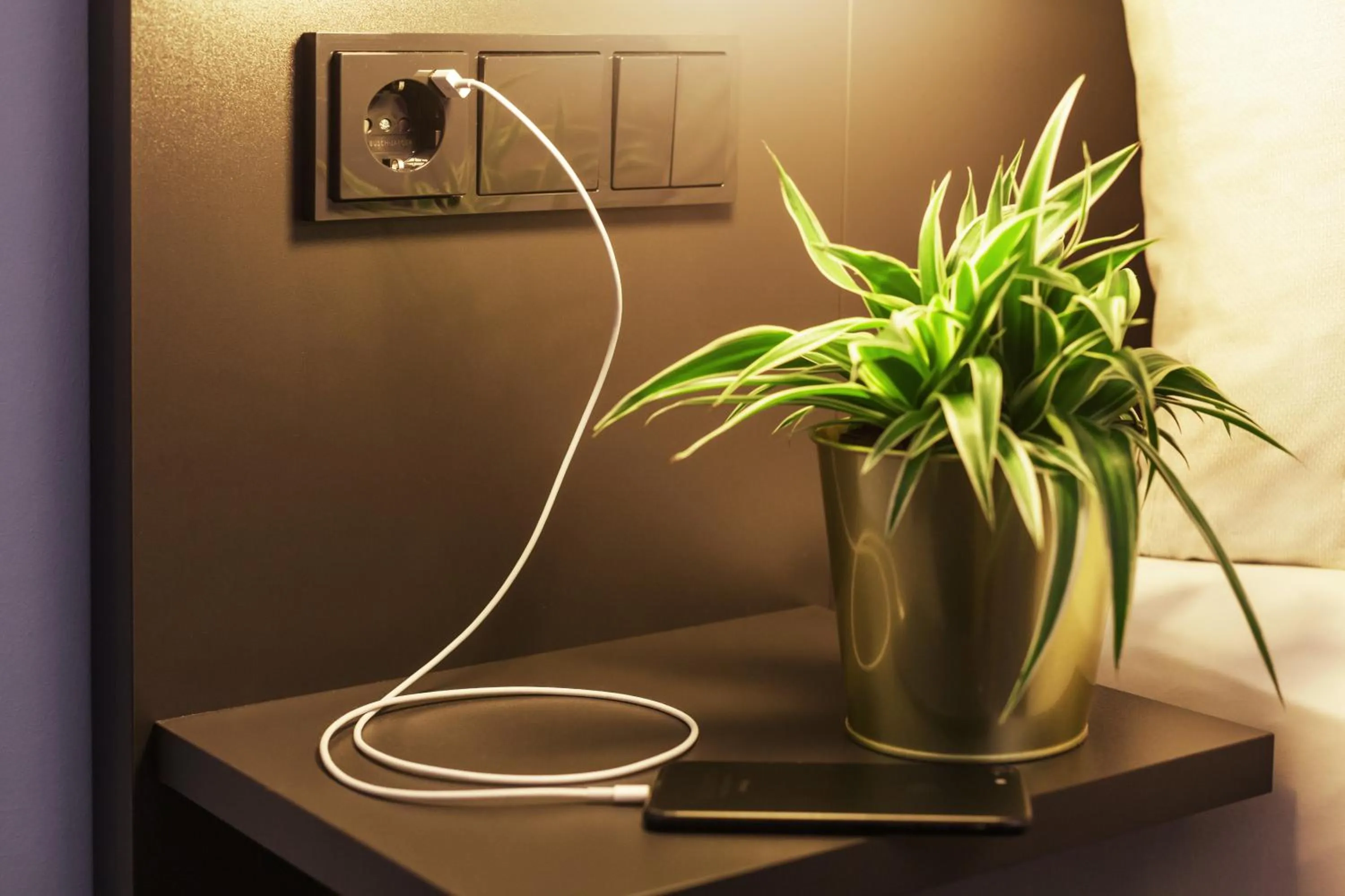 Decorative detail in the niu Mood - Apartments