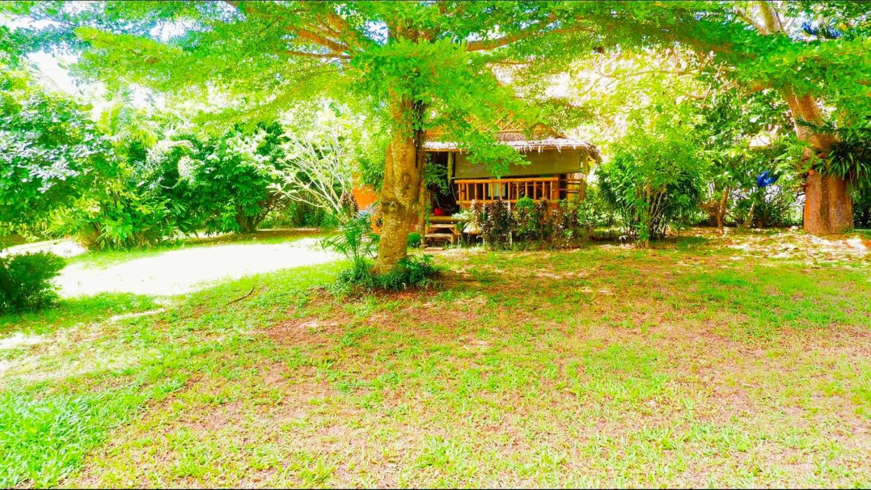 Garden view in Kingsacre