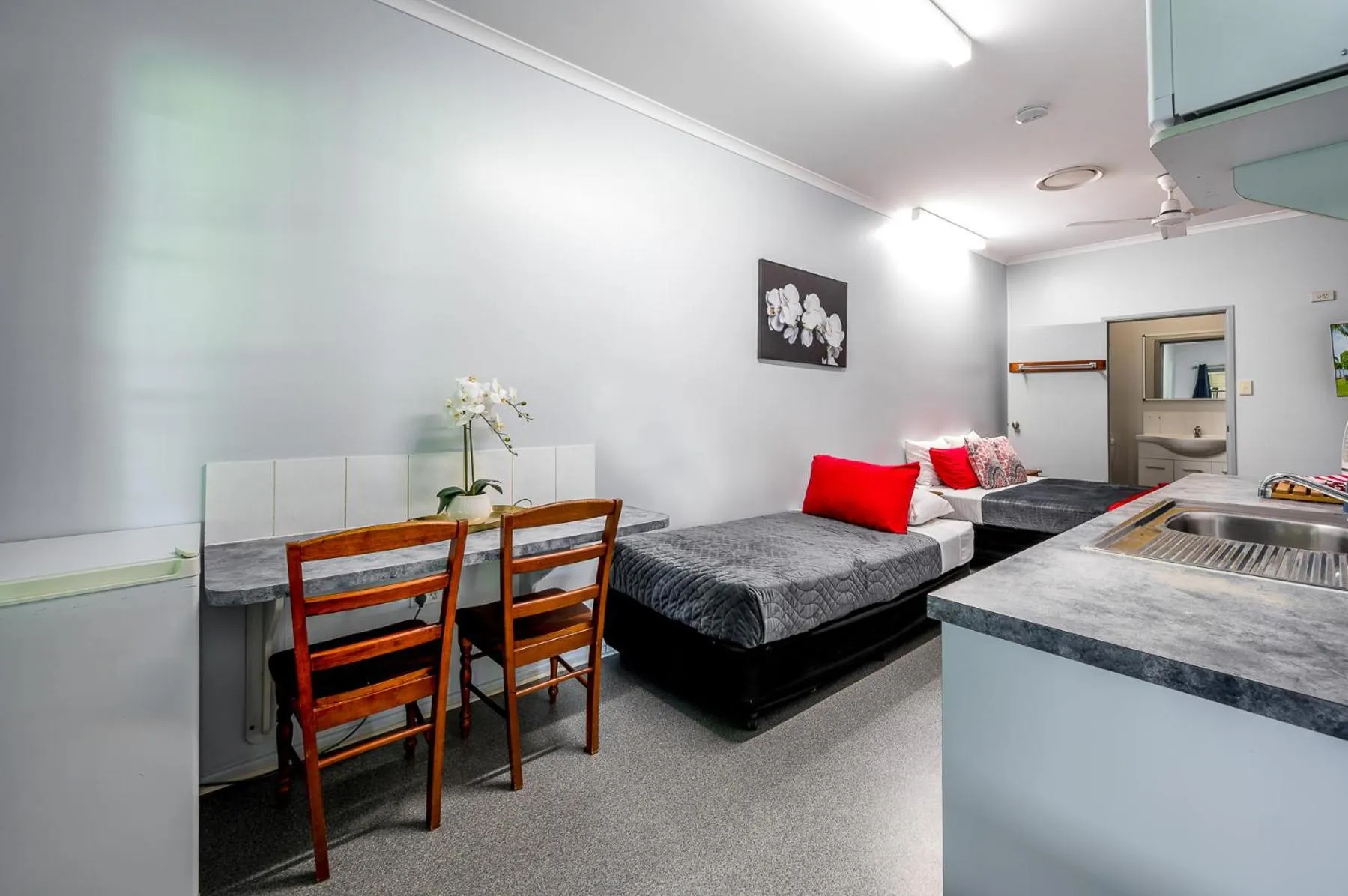 Photo of the whole room in Tropical Lodge