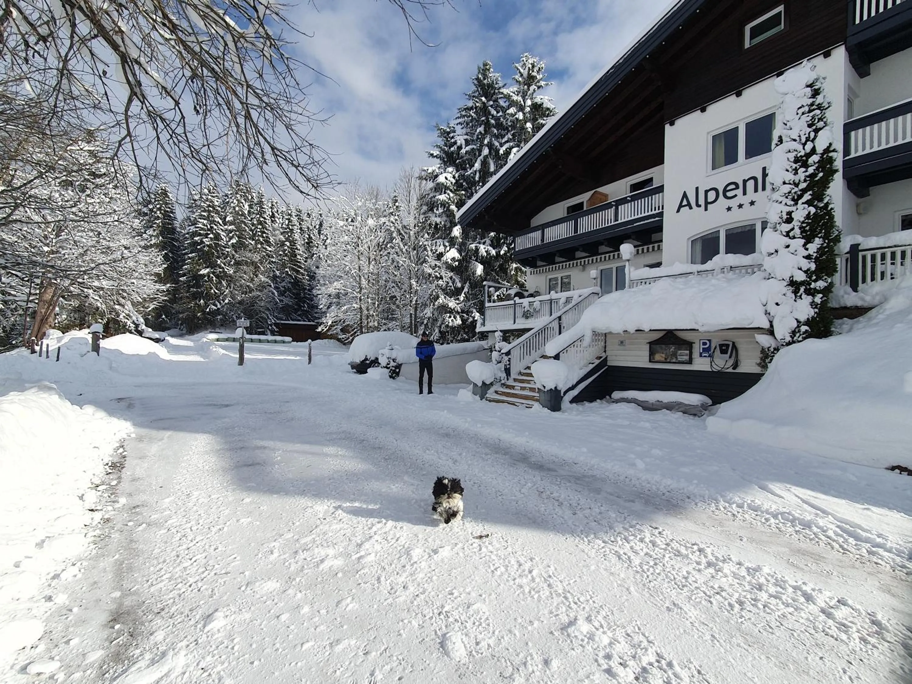 Property building in Boutique Hotel Alpenhof