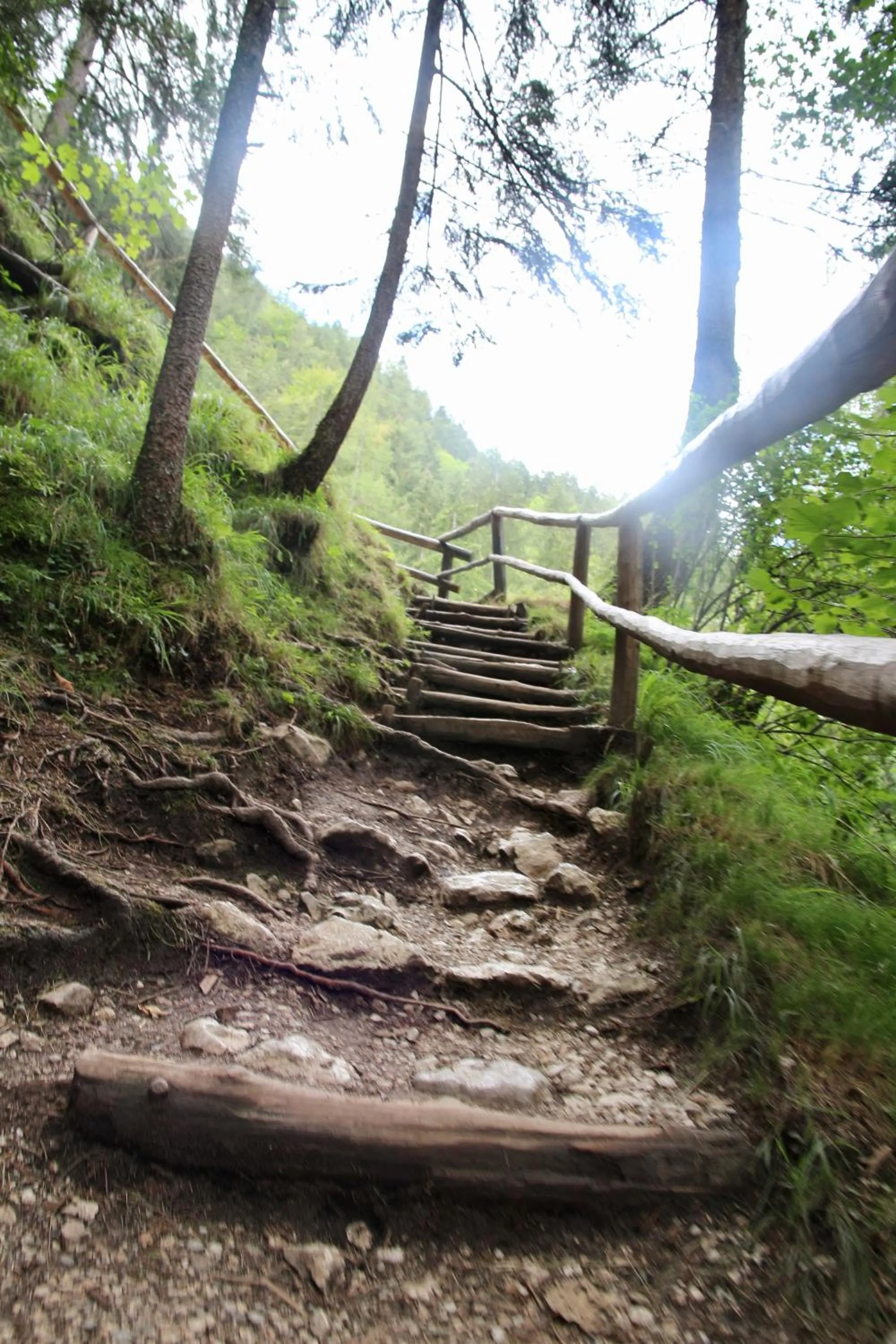 Activities in Boutique Hotel Alpenhof