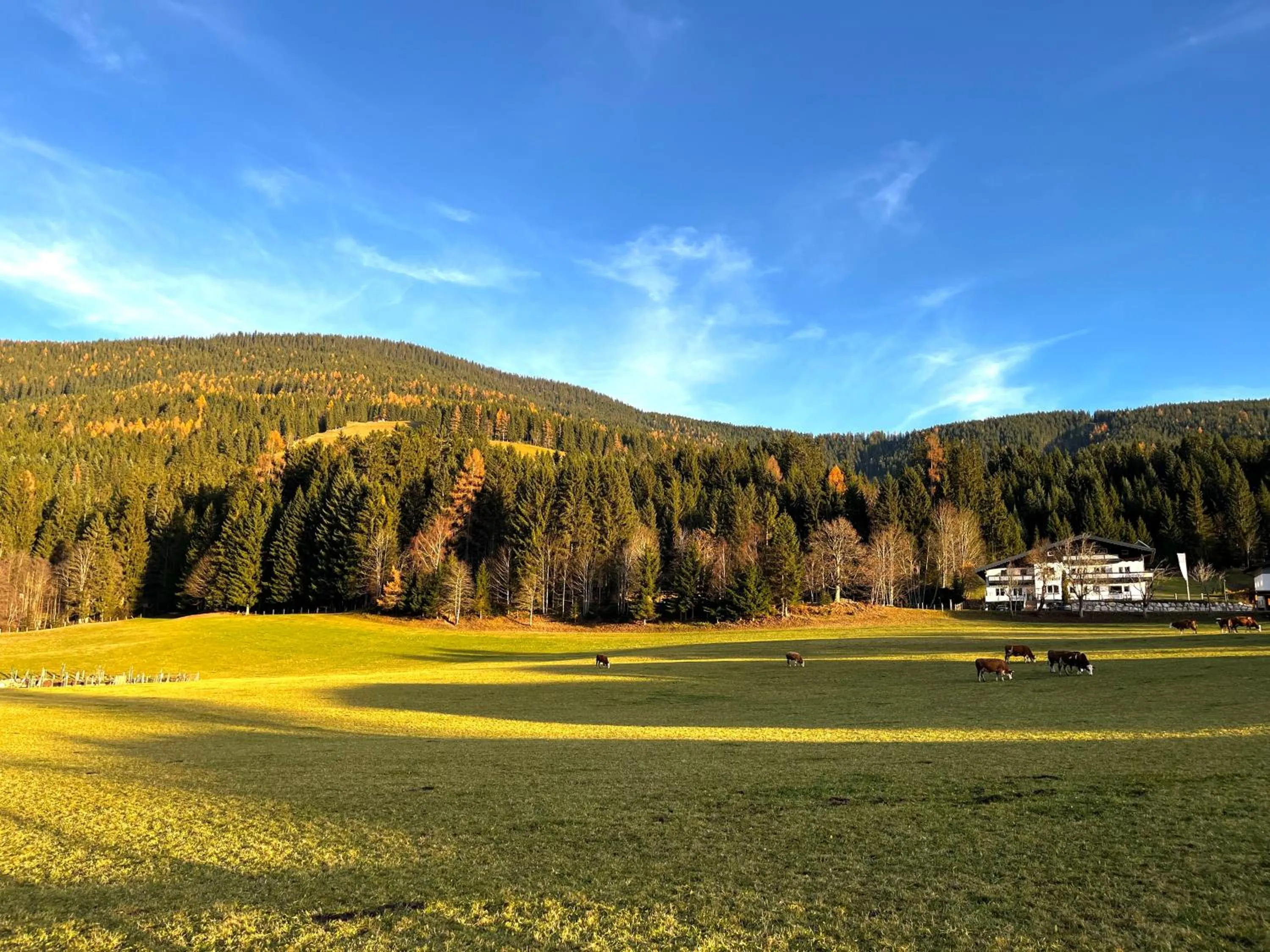 Spring in Boutique Hotel Alpenhof