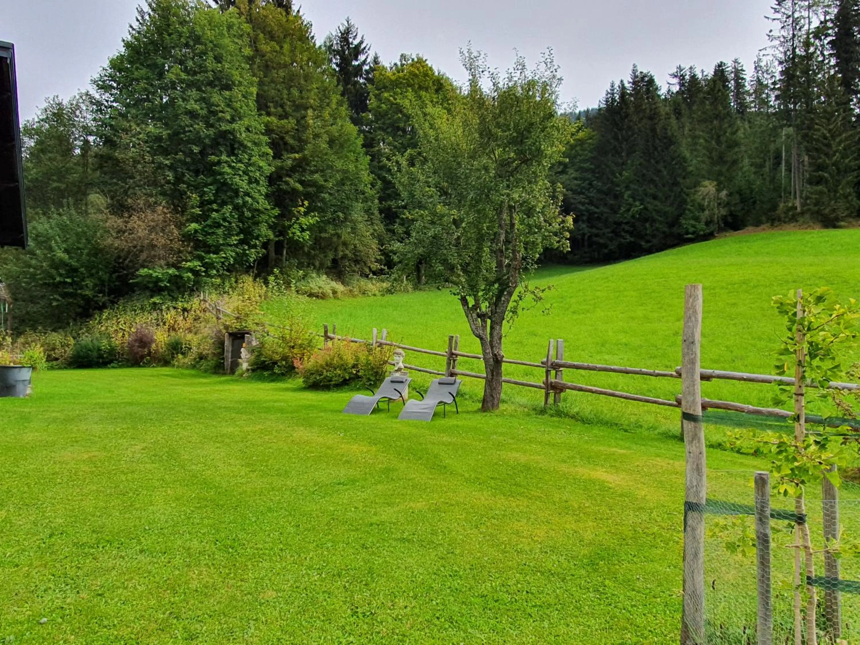 Garden in Boutique Hotel Alpenhof