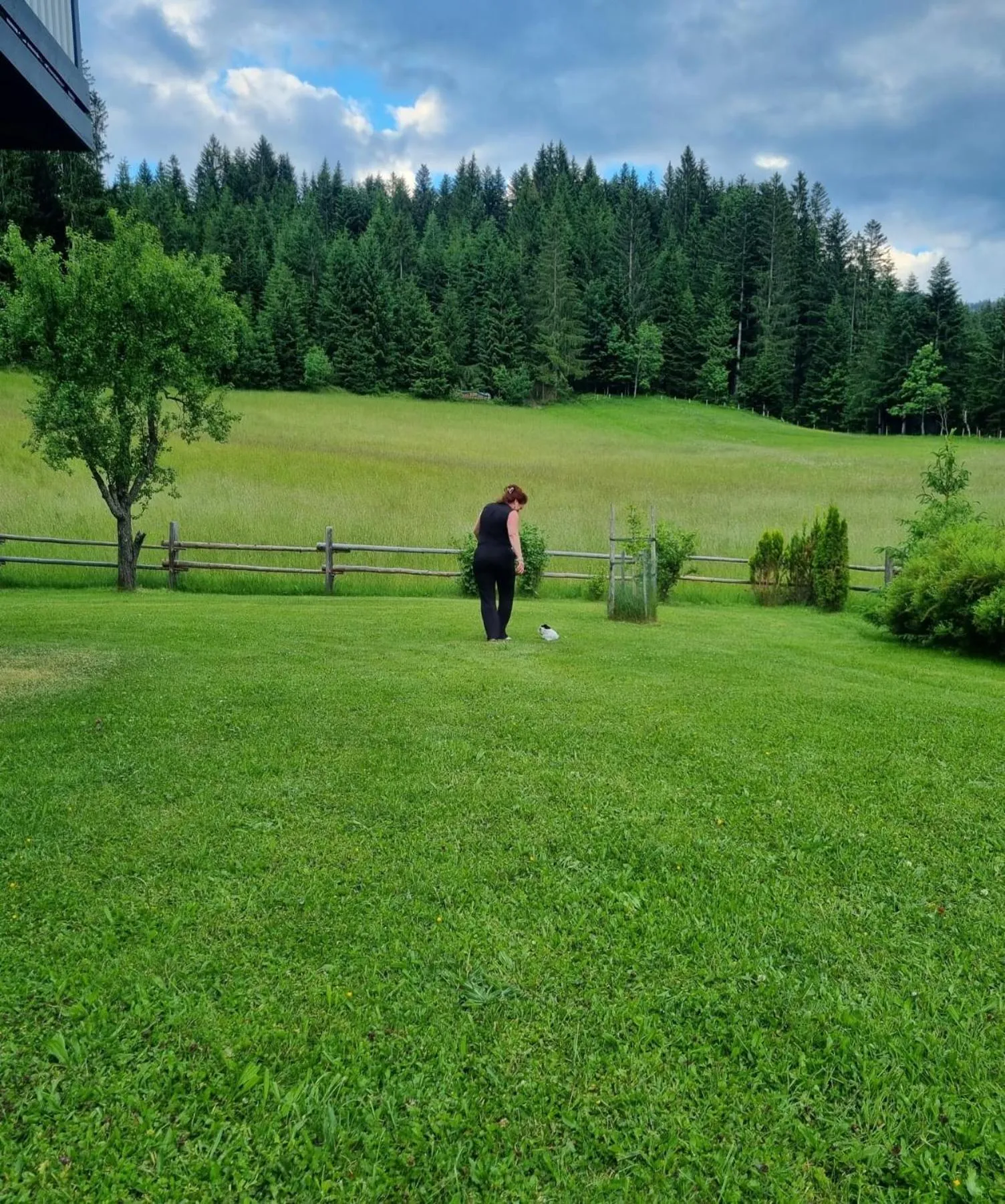 Natural landscape in Boutique Hotel Alpenhof