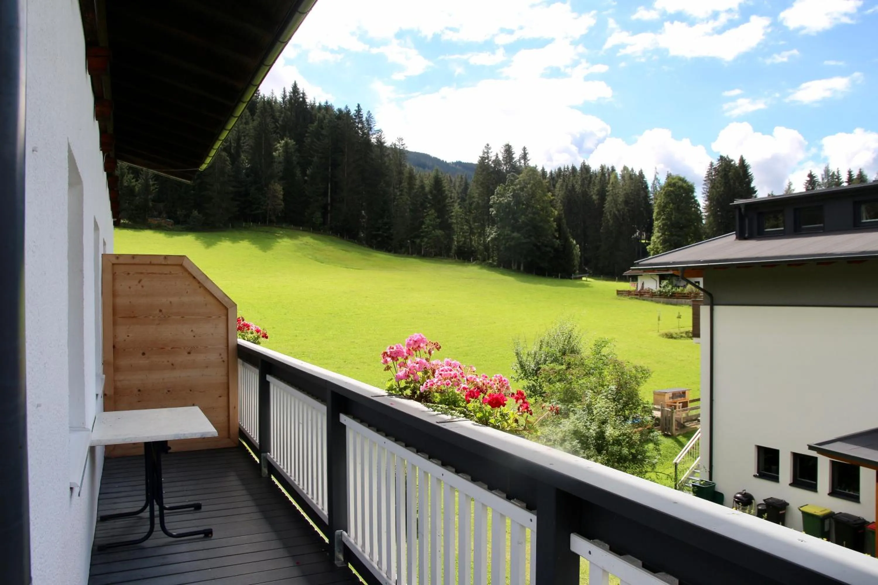 Balcony/Terrace in Boutique Hotel Alpenhof