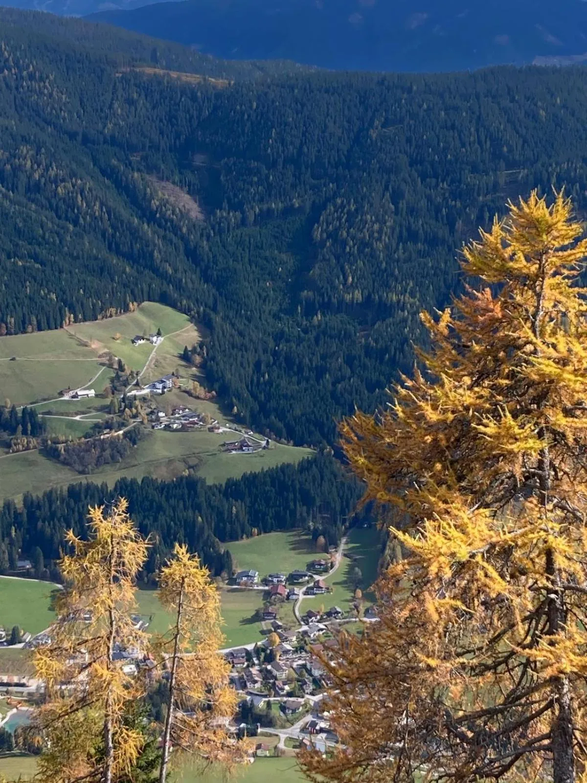 Natural landscape in Boutique Hotel Alpenhof