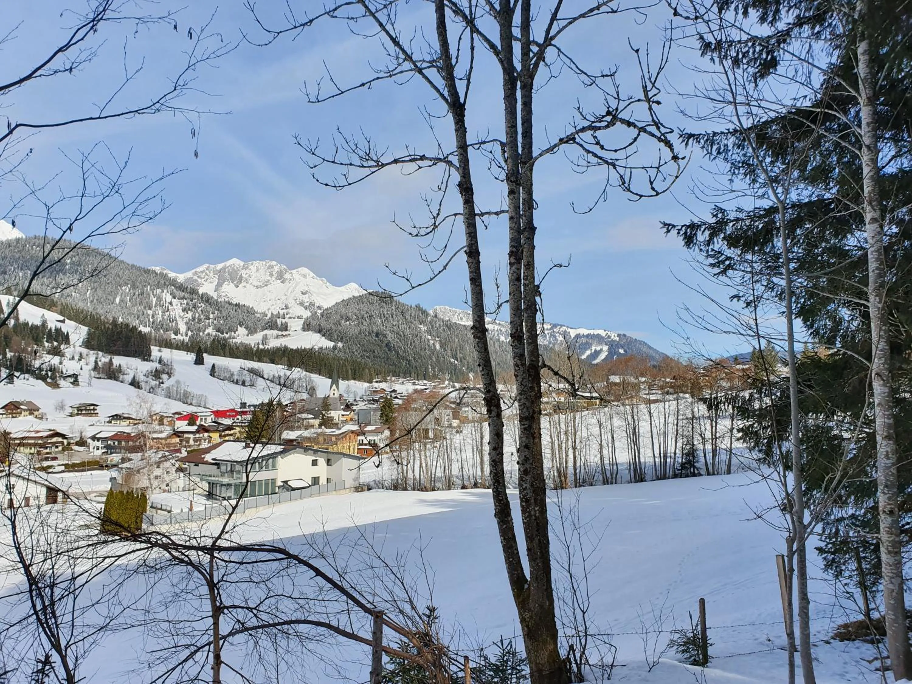 Neighbourhood in Boutique Hotel Alpenhof