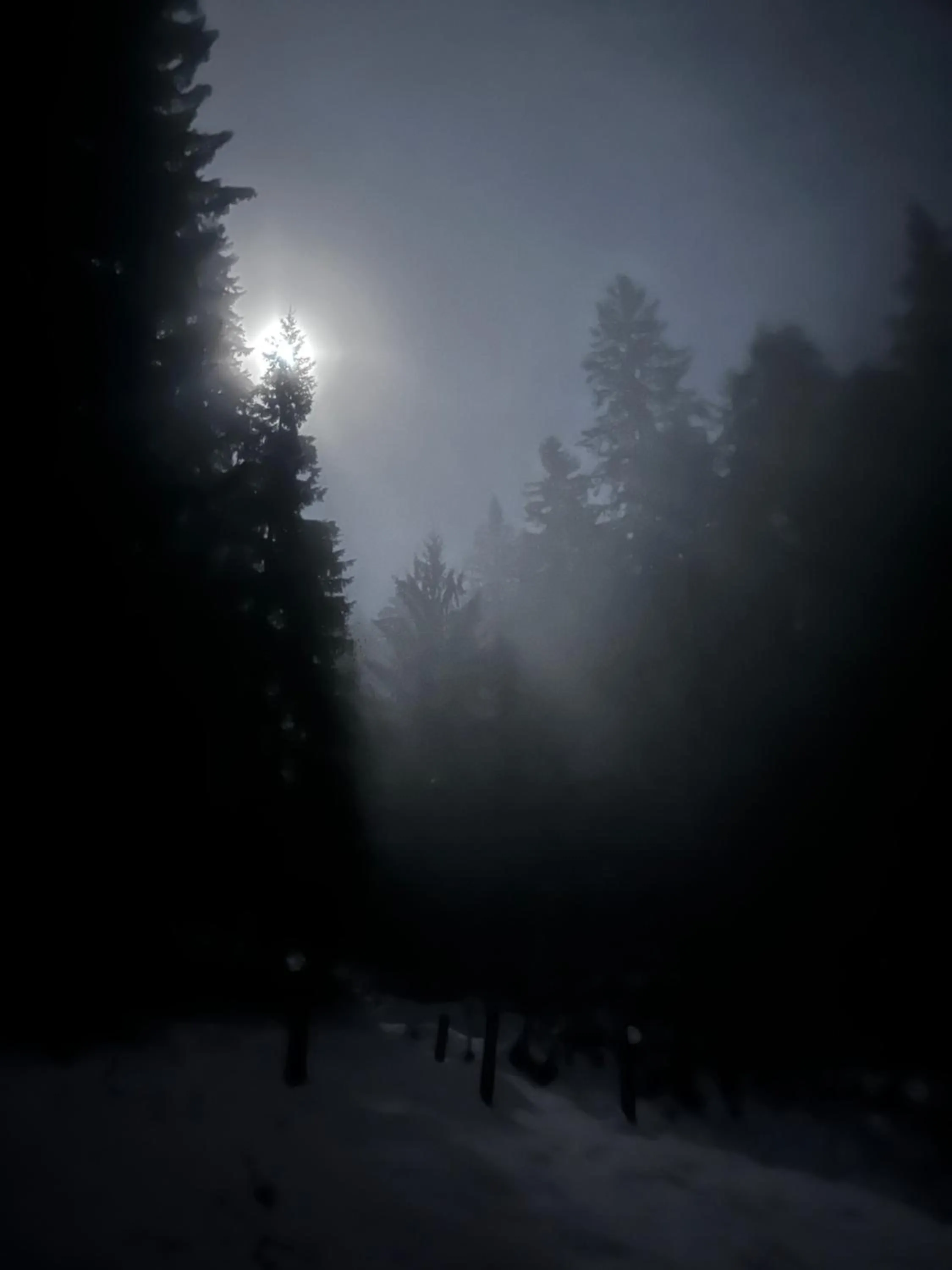 Natural landscape in Boutique Hotel Alpenhof