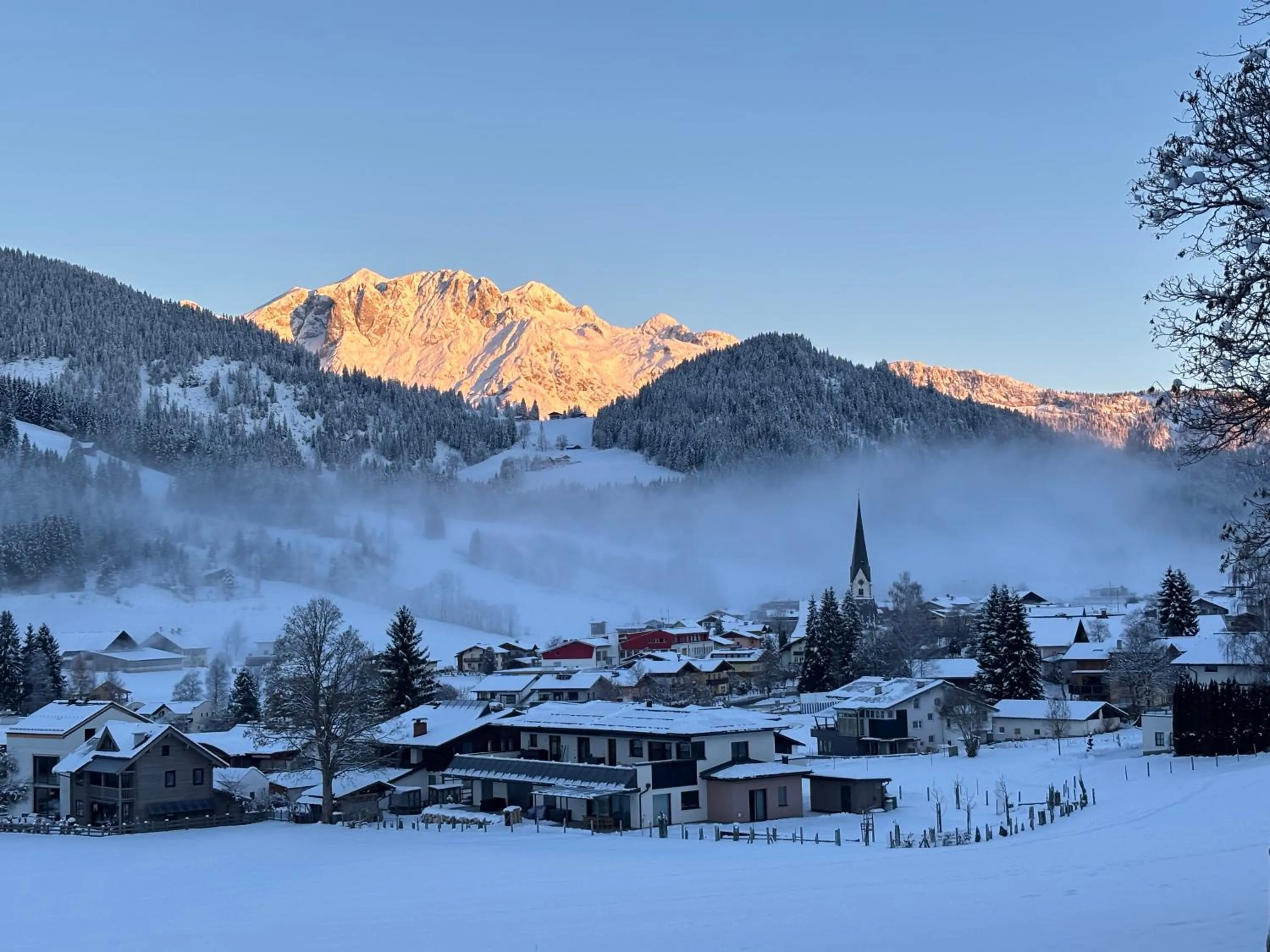 Day in Boutique Hotel Alpenhof
