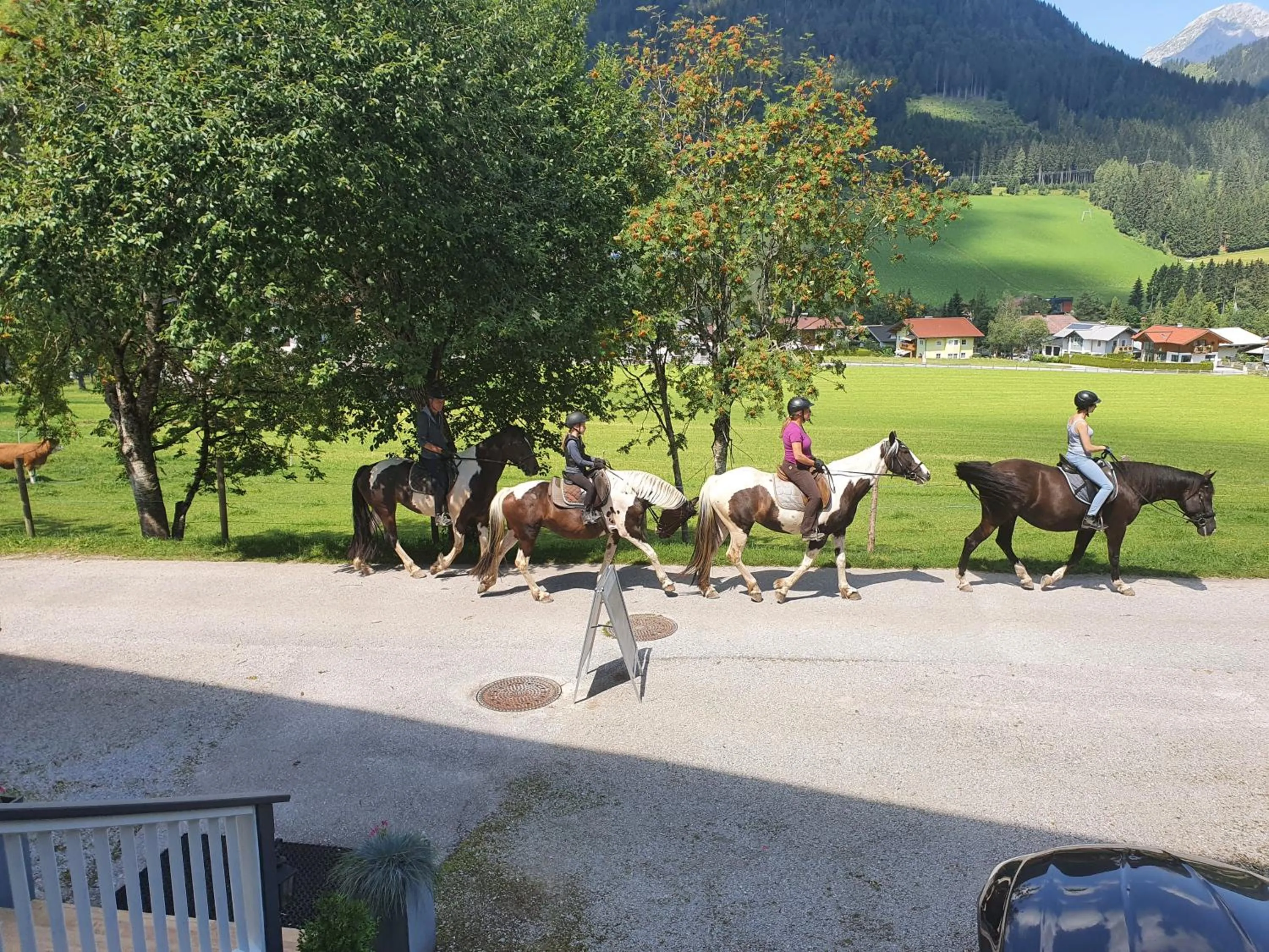Activities in Boutique Hotel Alpenhof