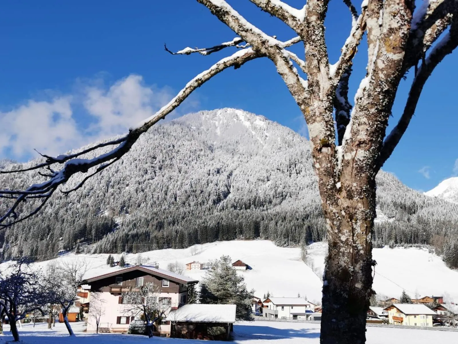 Natural landscape in Boutique Hotel Alpenhof
