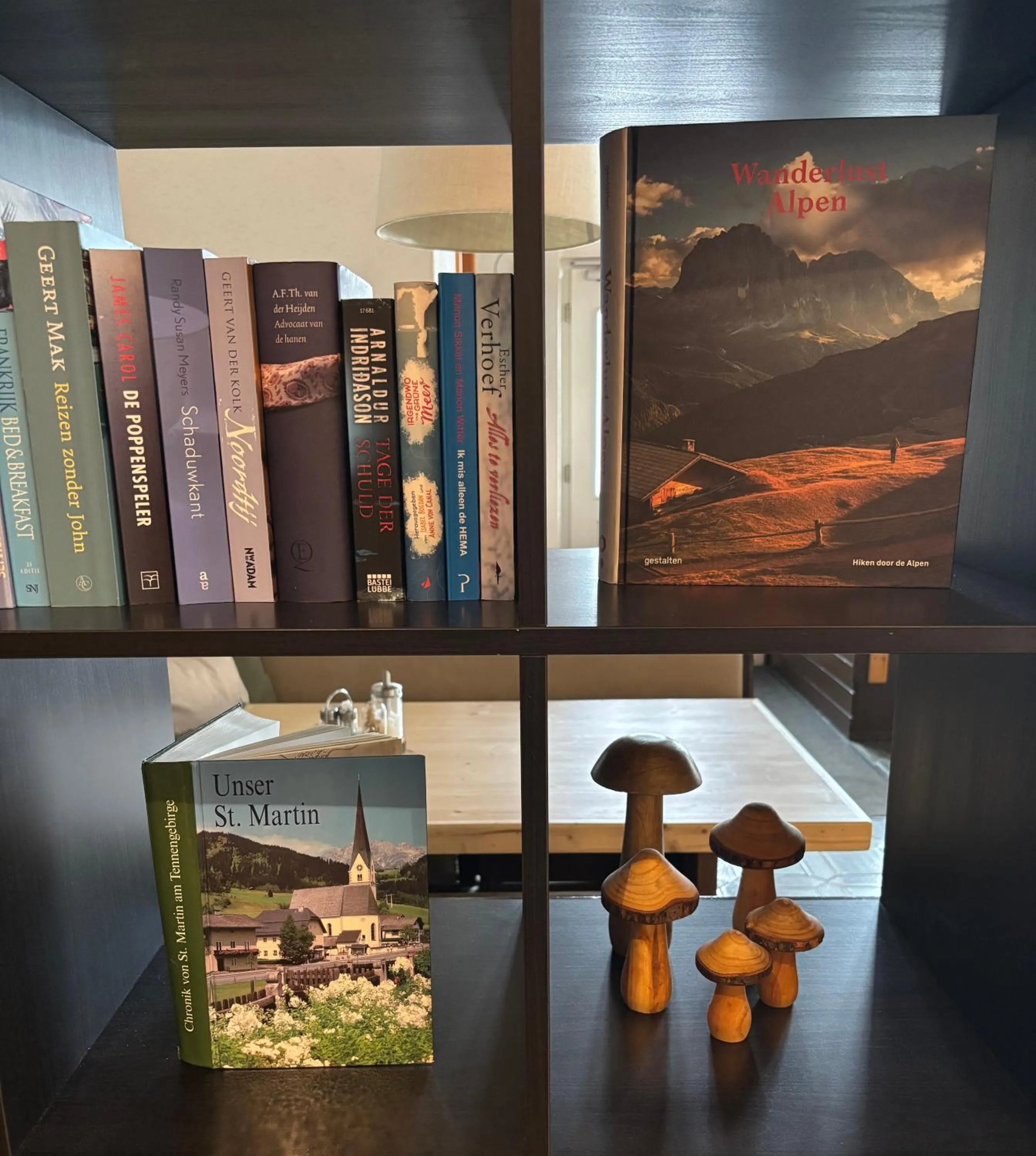 Library in Boutique Hotel Alpenhof