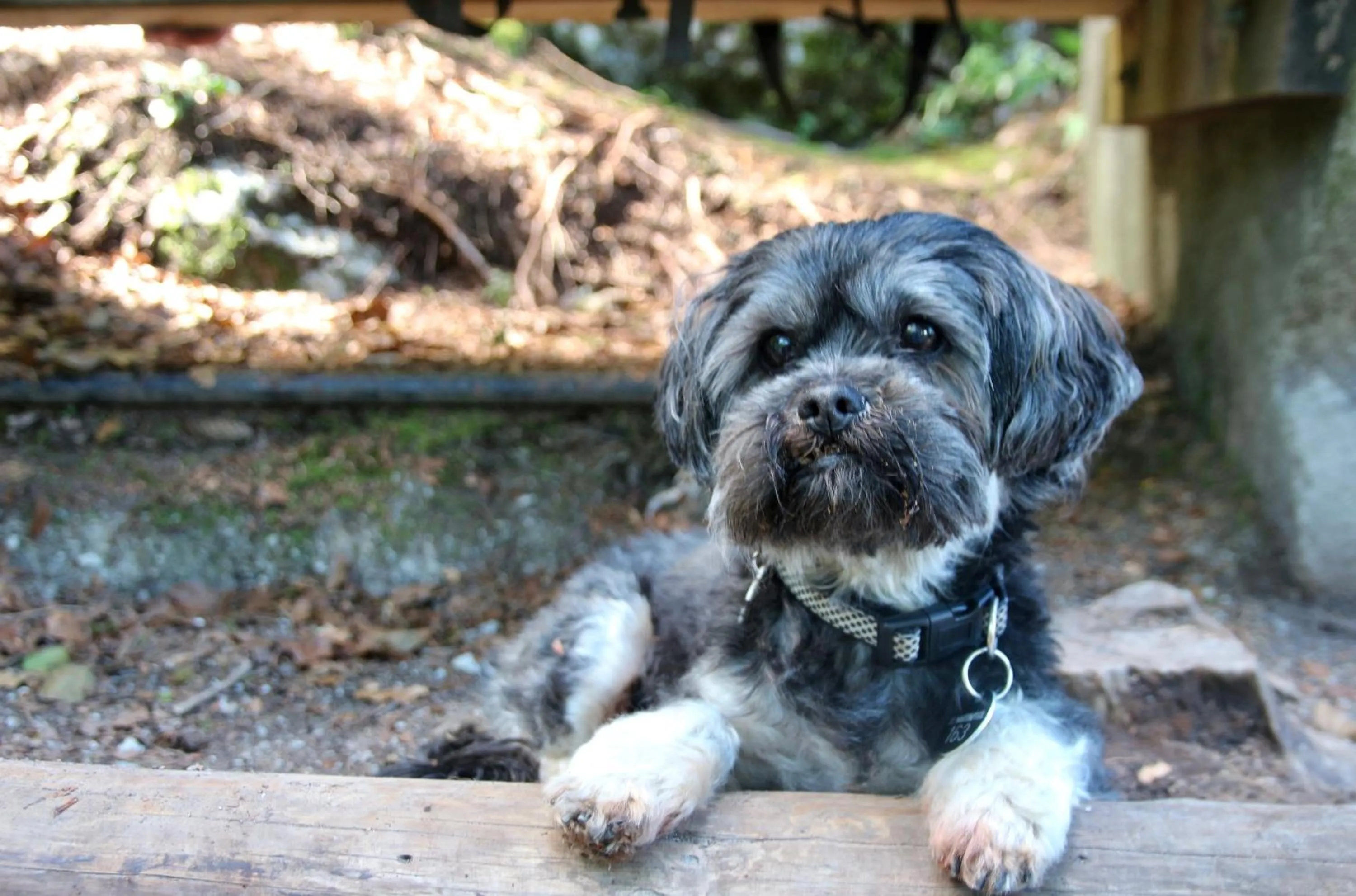 Off site in Boutique Hotel Alpenhof