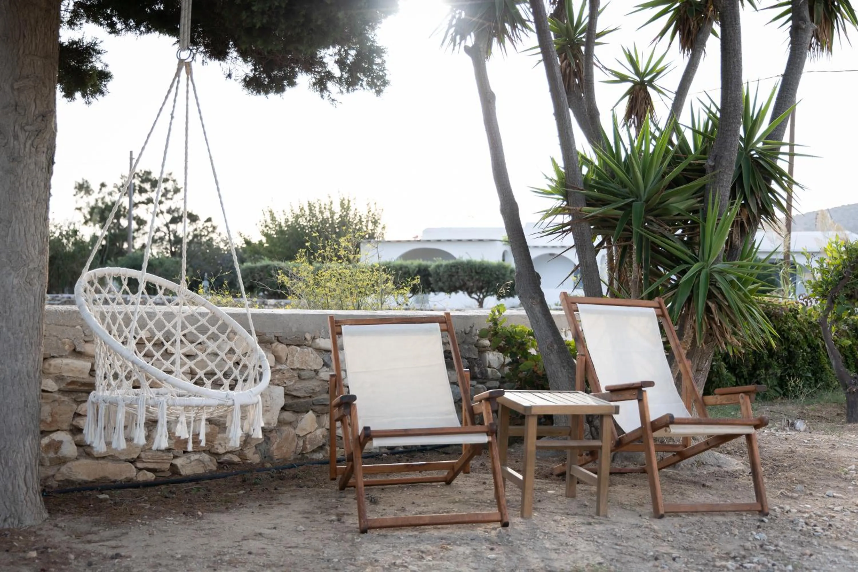 Garden in Seample studios