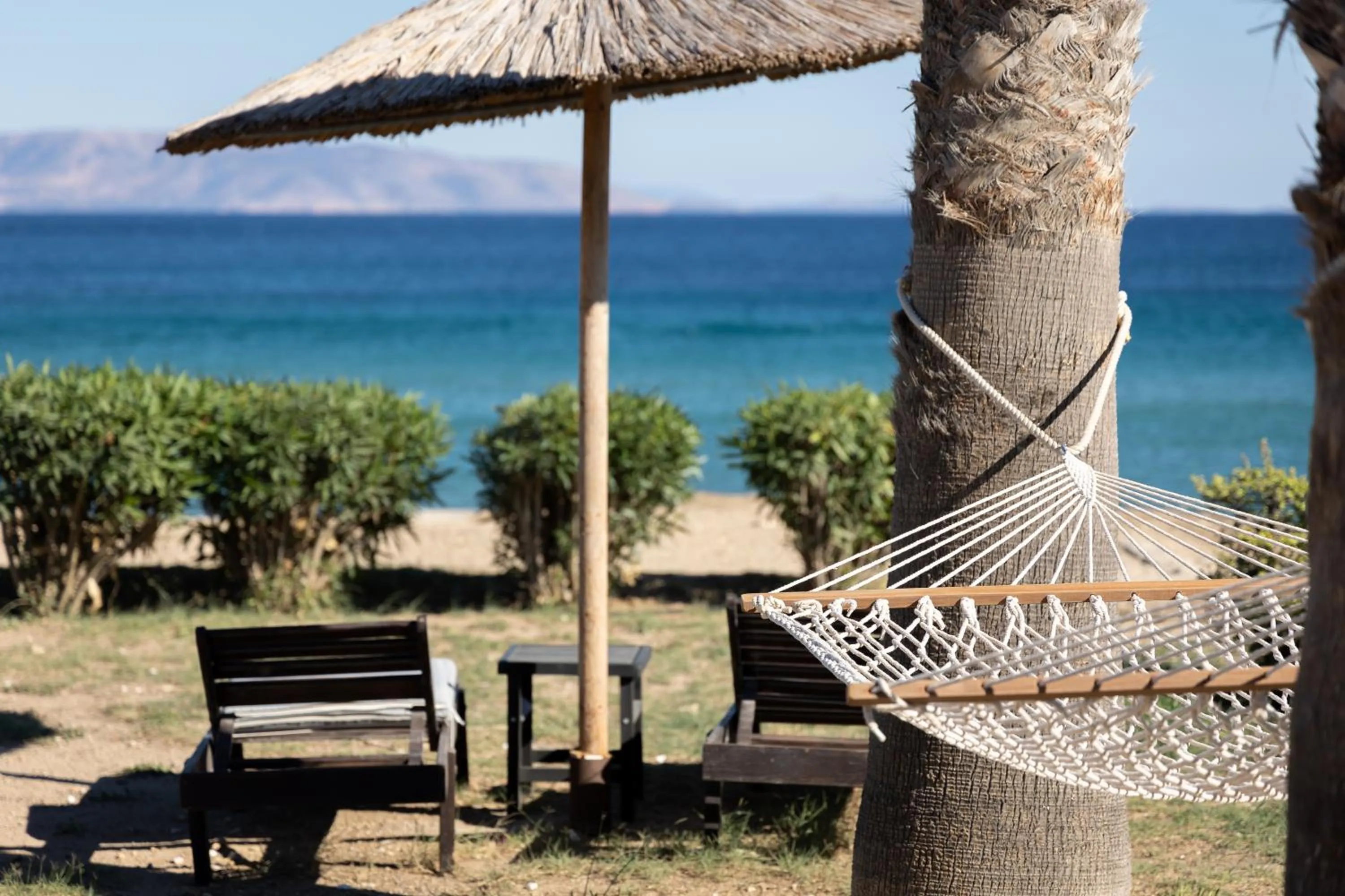 Garden in Seample studios