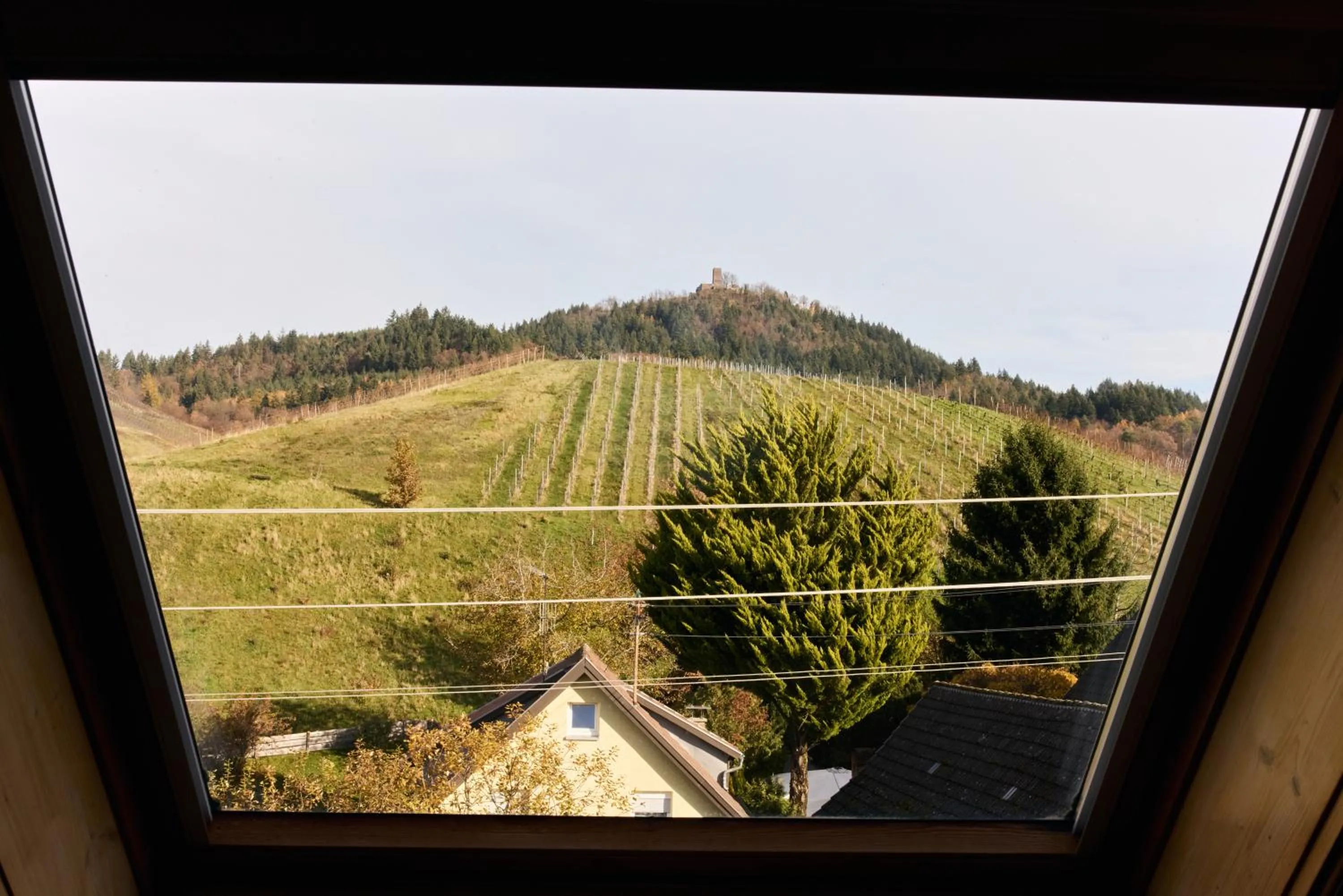 River view in Landhotel Traube