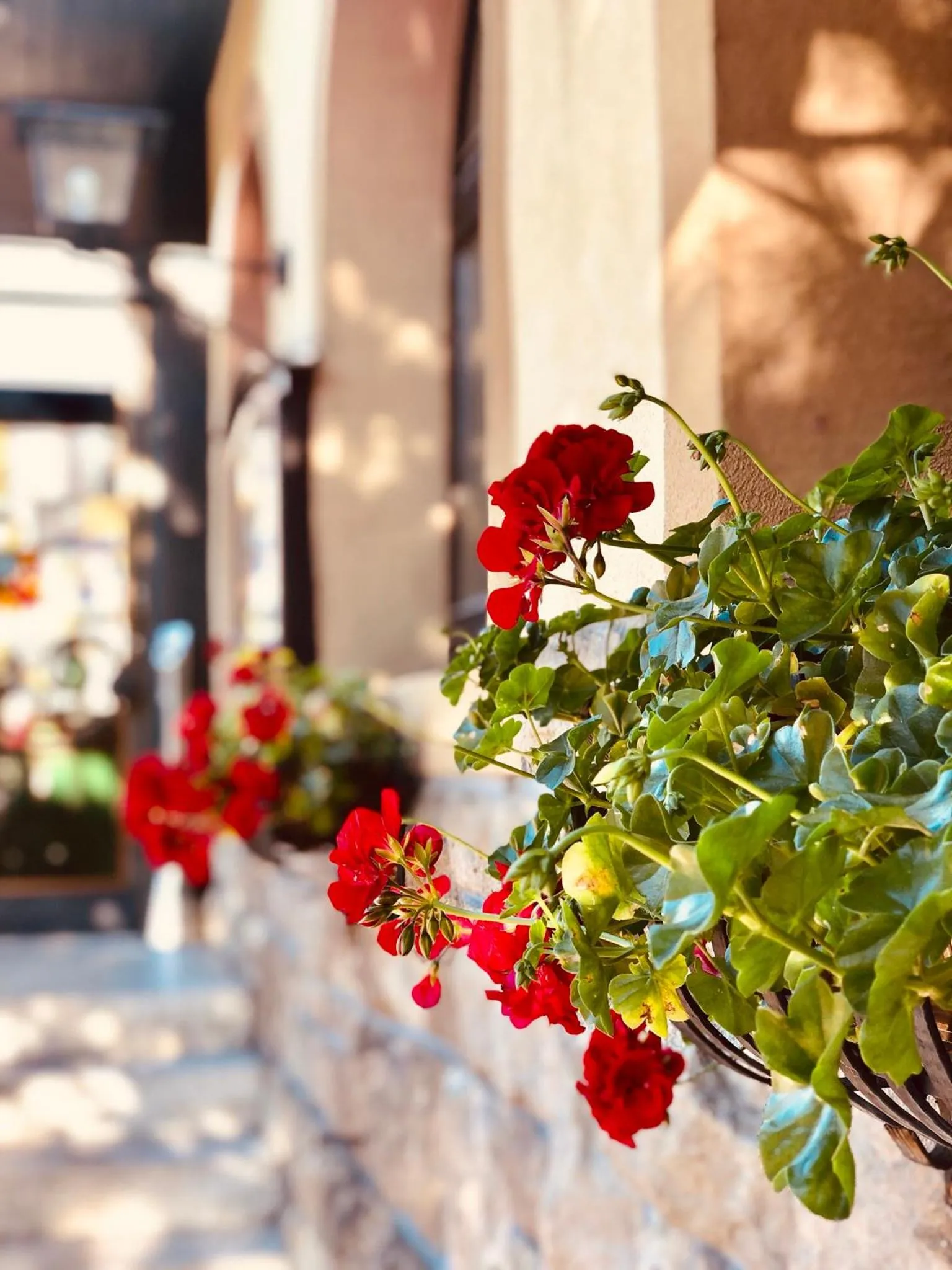 Property building in Landhotel Traube