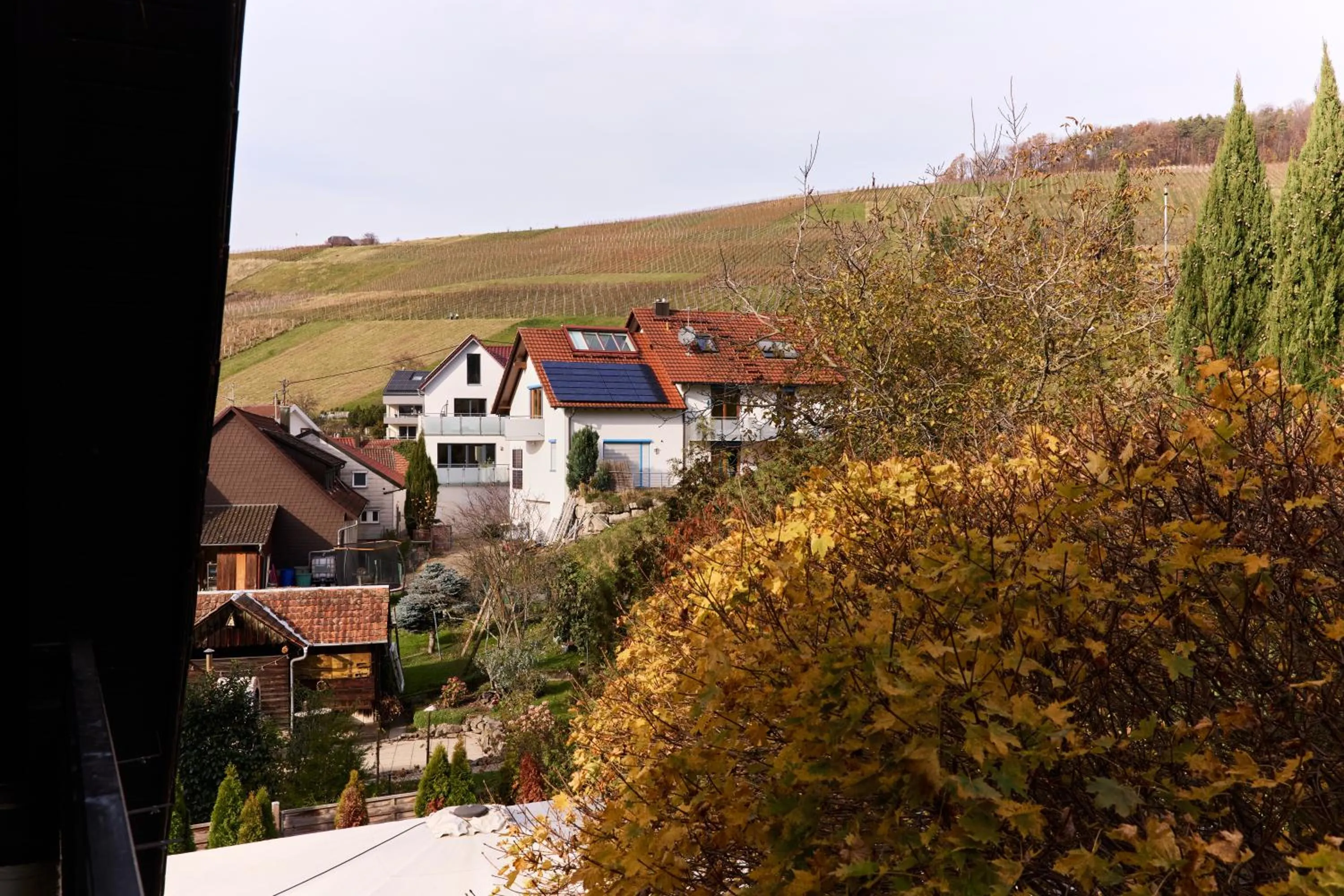 View (from property/room) in Landhotel Traube