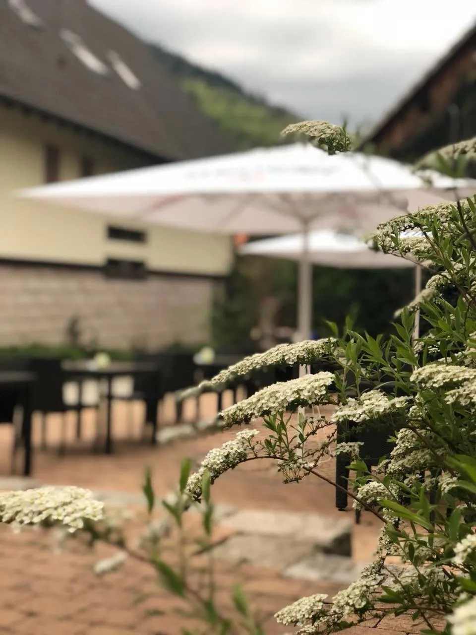 Garden in Landhotel Traube