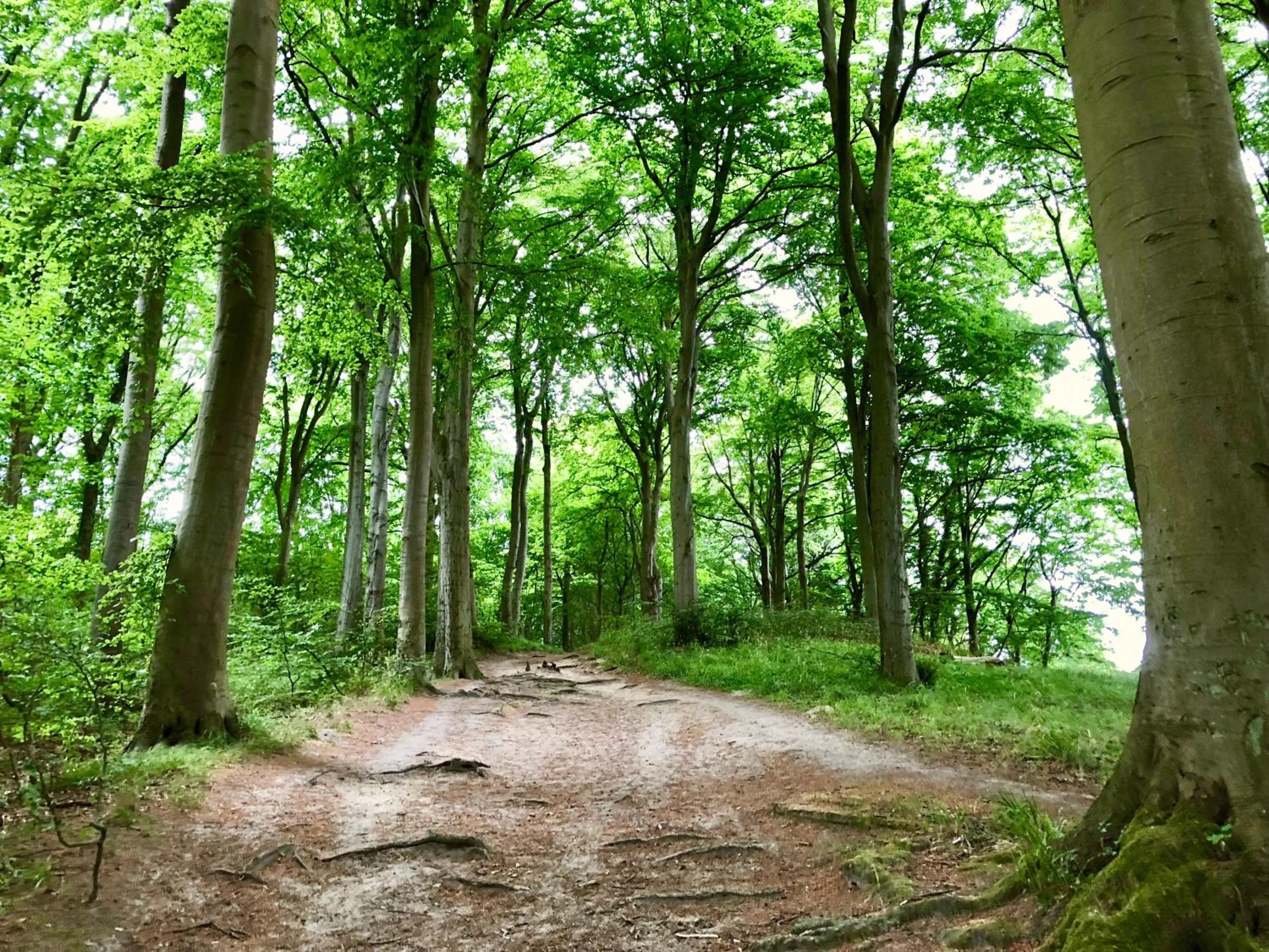 Hiking in MyHome Ruegen - Haus Arkona