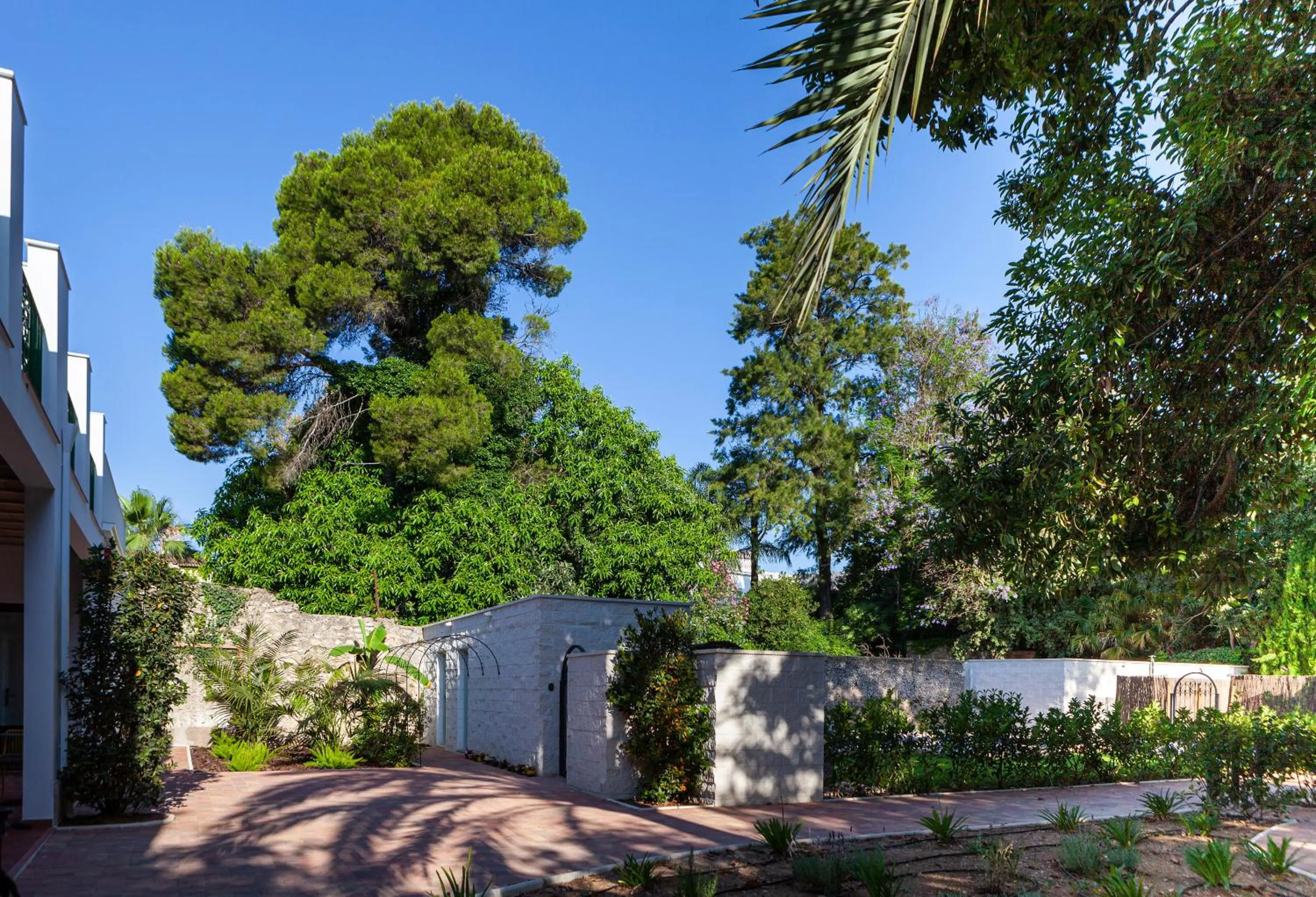 Garden in Ad Hoc Vitae Retreats & Health Only Adults