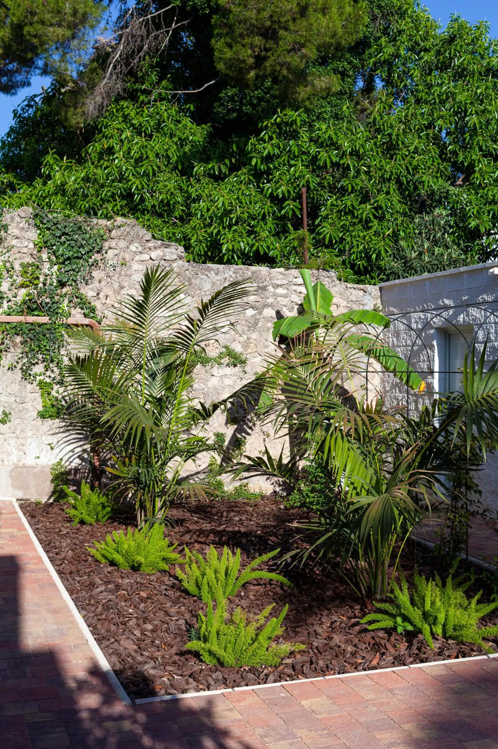 Garden in Ad Hoc Vitae Retreats & Health Only Adults