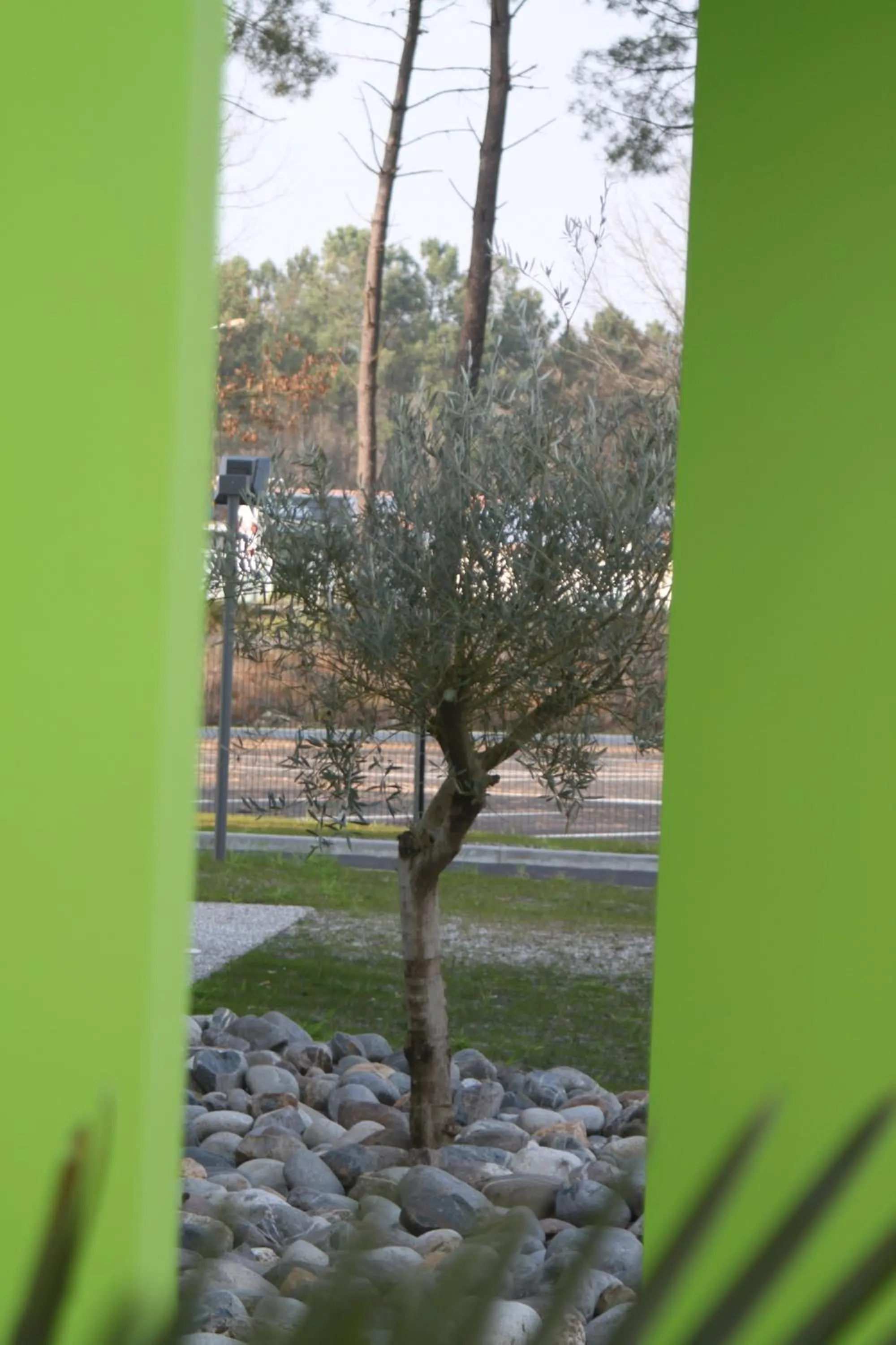 Property building in B&B HOTEL Mont-de-Marsan