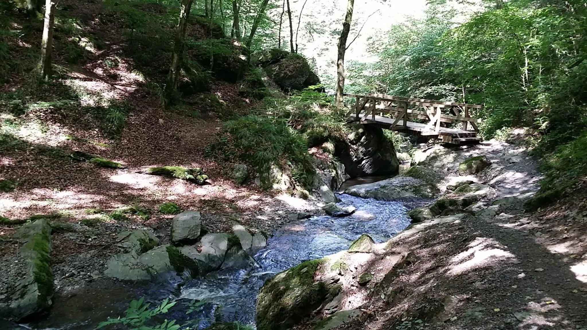 Natural landscape in Landgasthaus Zur Kupferkanne