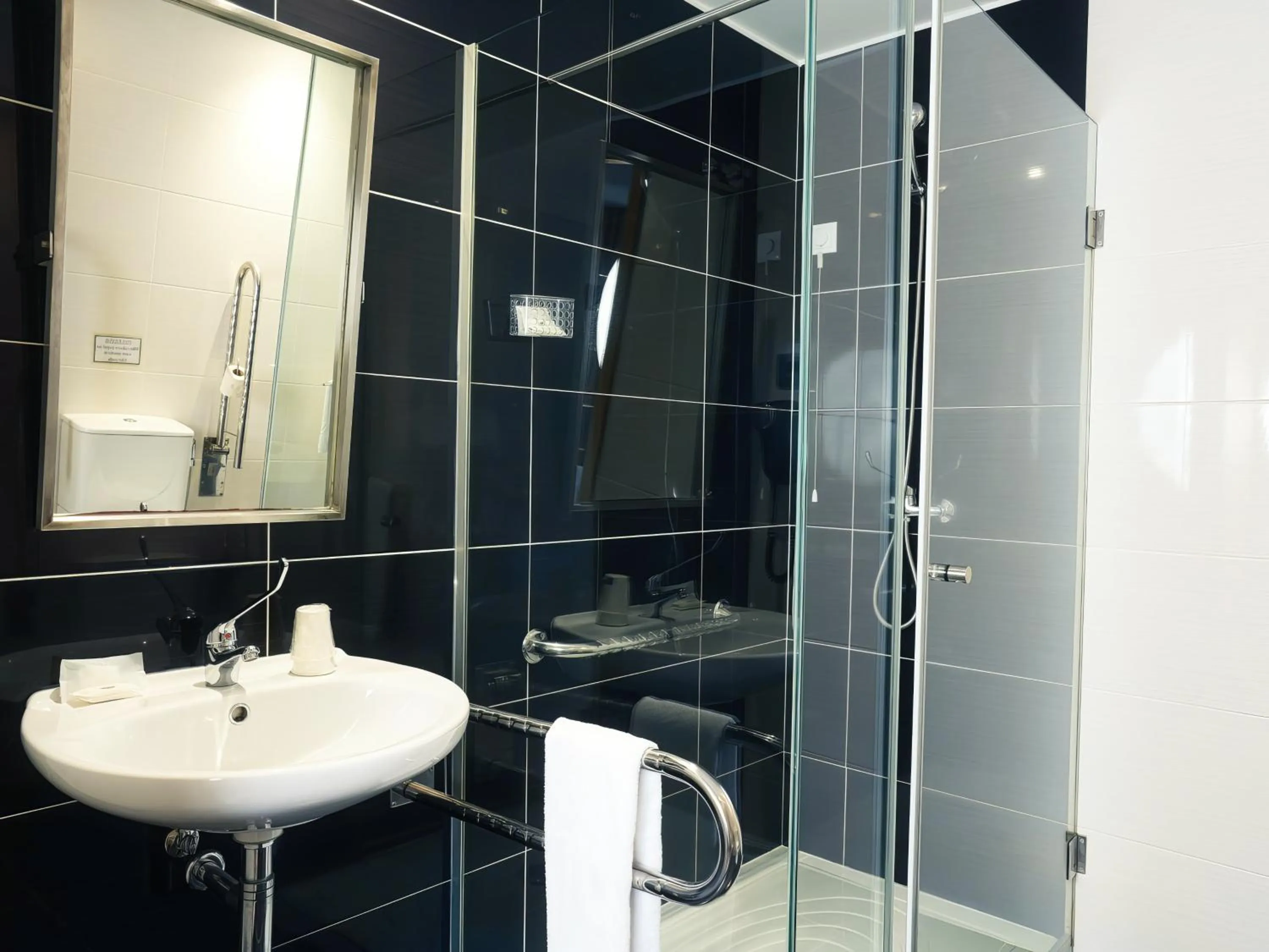 Facility for disabled guests in Hotel São Francisco