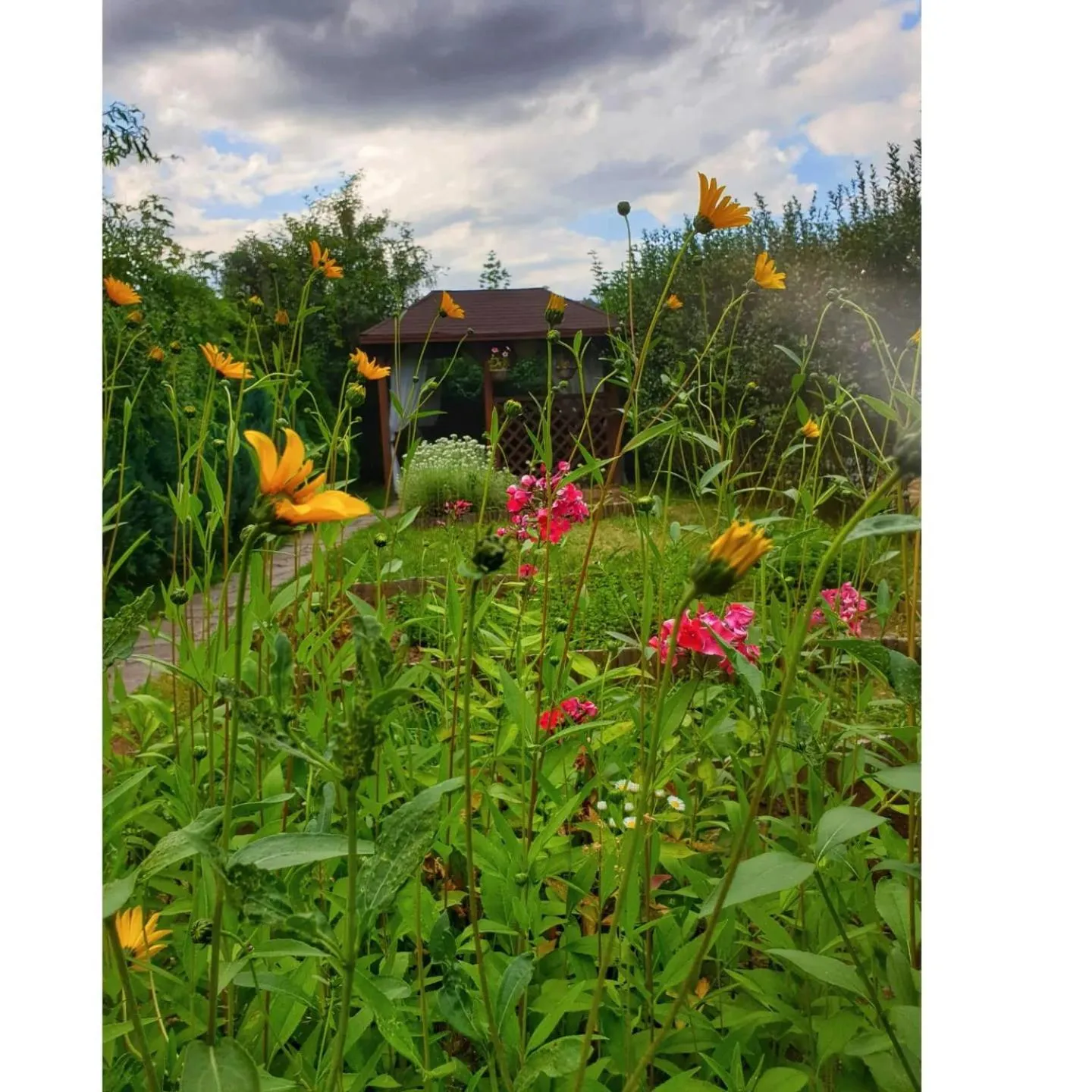 Garden in ROMANTIK HOTEL ELEONORA