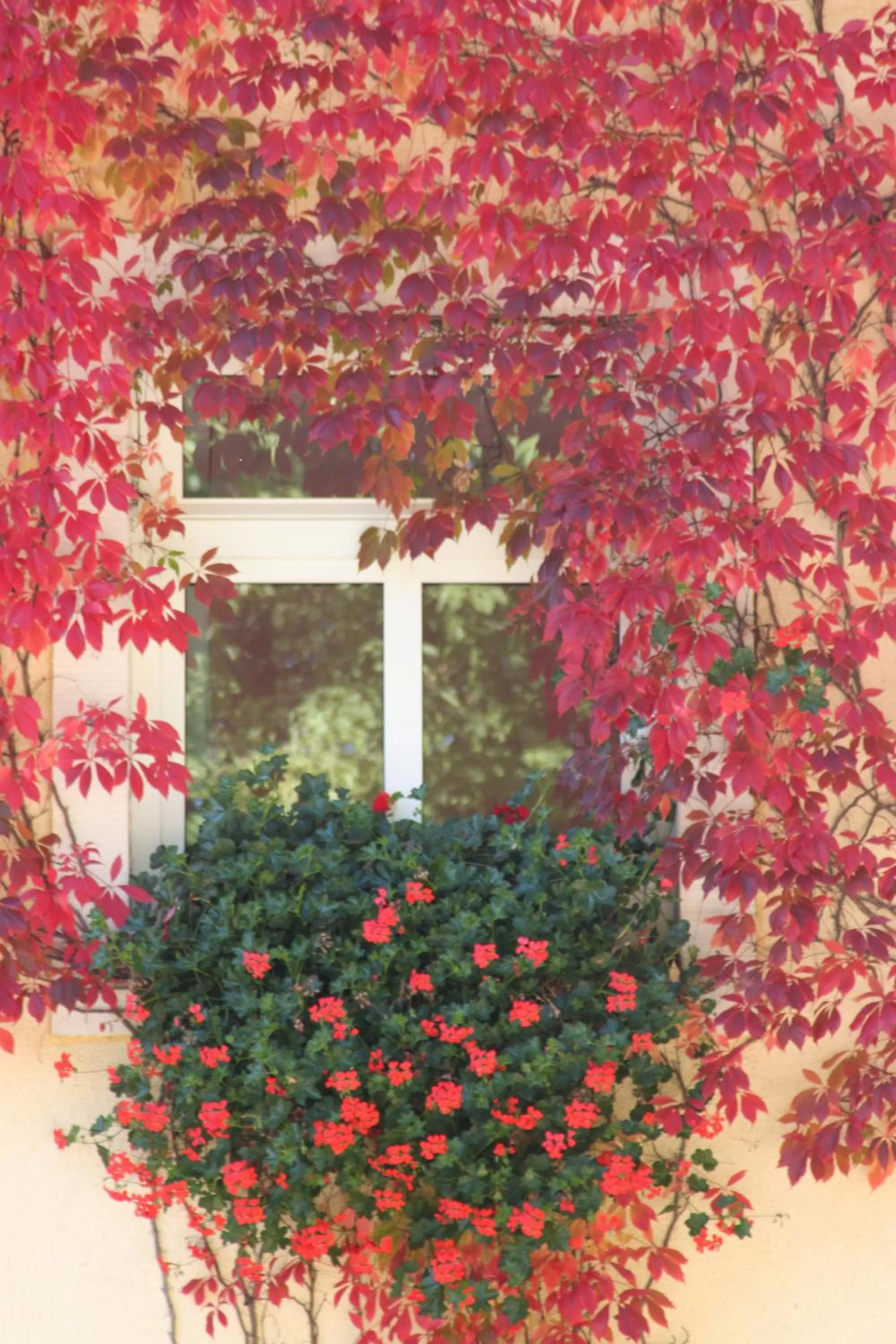 Facade/entrance in Landhaus Heidehof