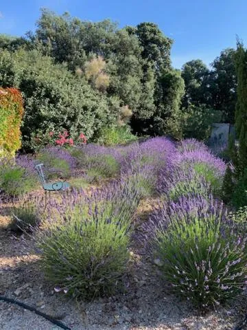 Garden in Maison Les Chênes