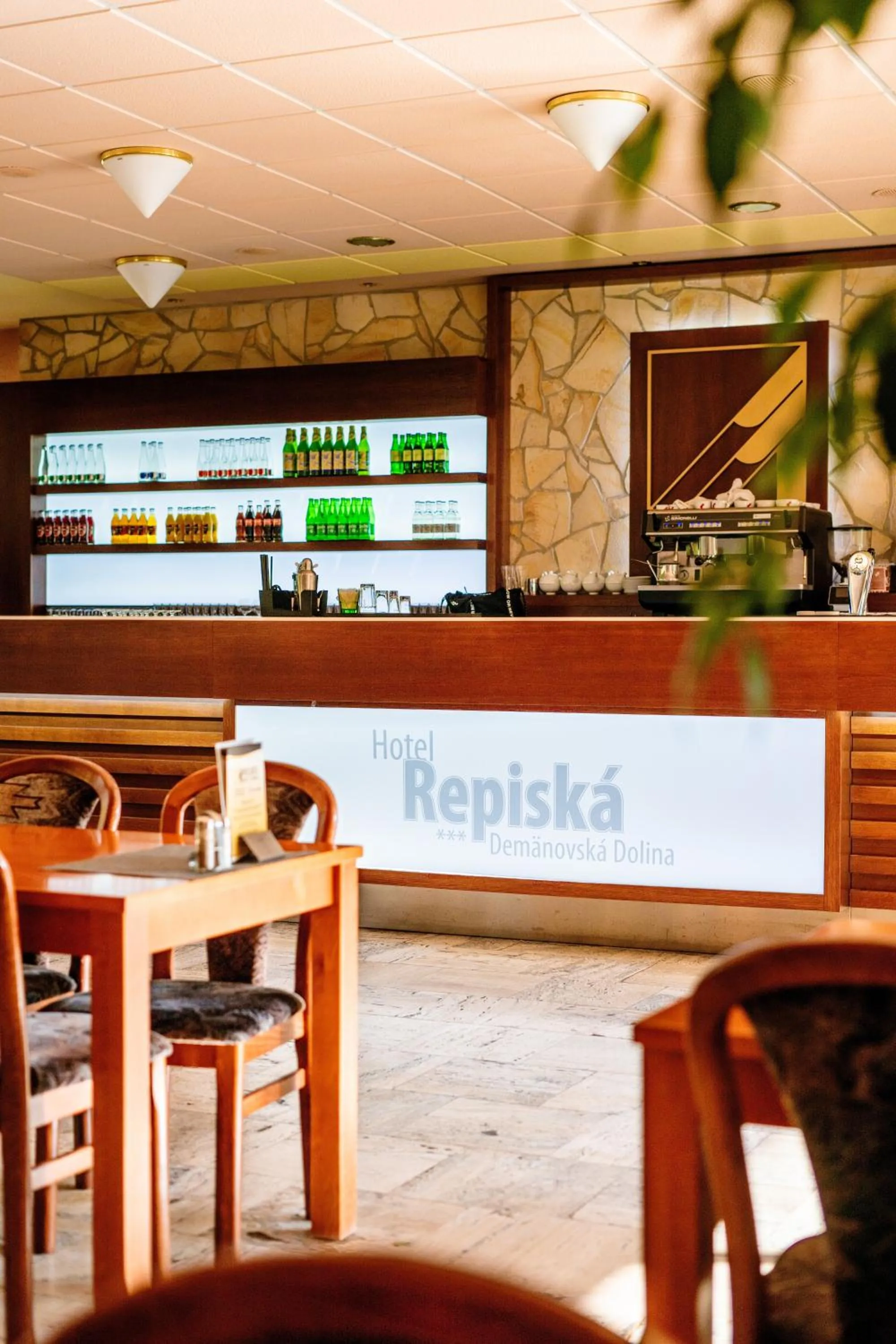 Restaurant/places to eat in Wellness Hotel Repiska