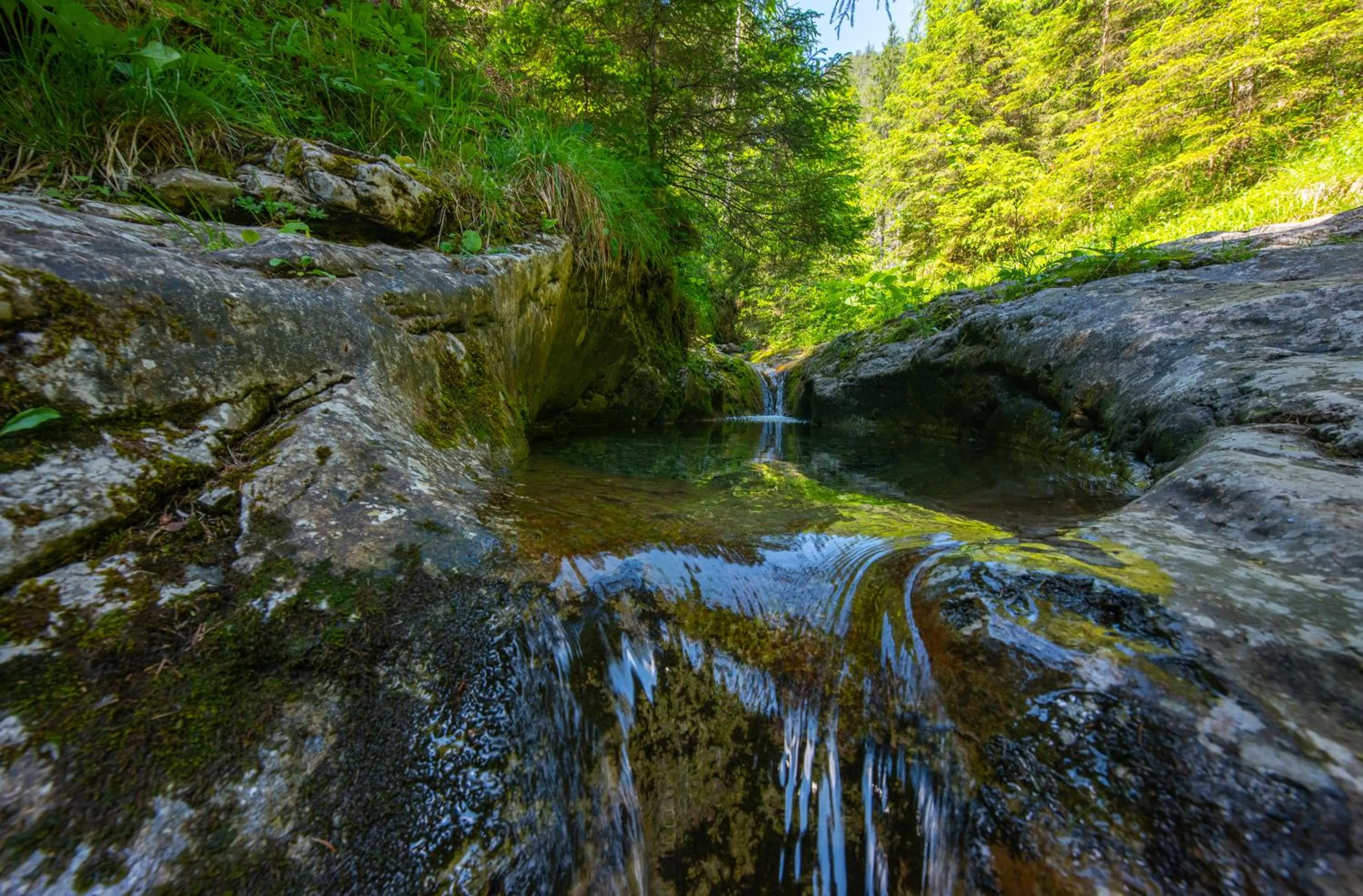 Nearby landmark in Wellness Hotel Repiska