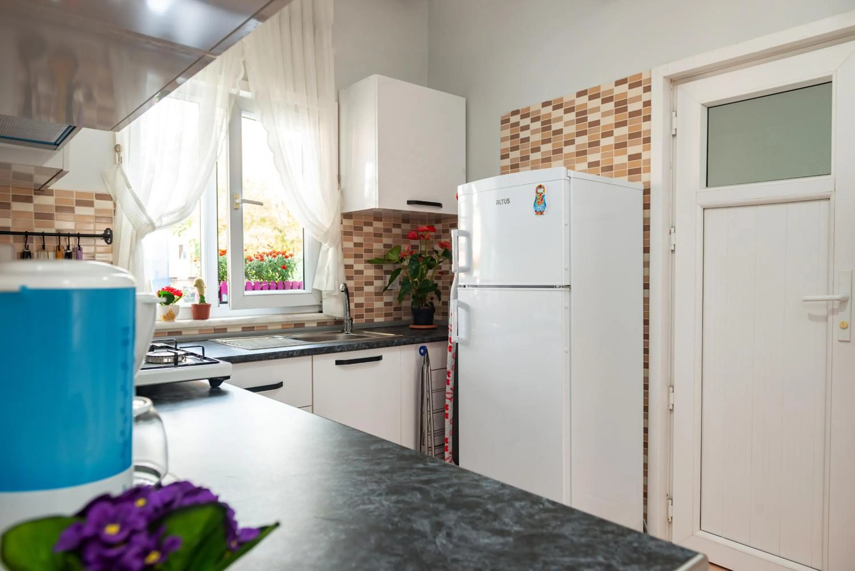 Kitchen or kitchenette in Dualis Hotel